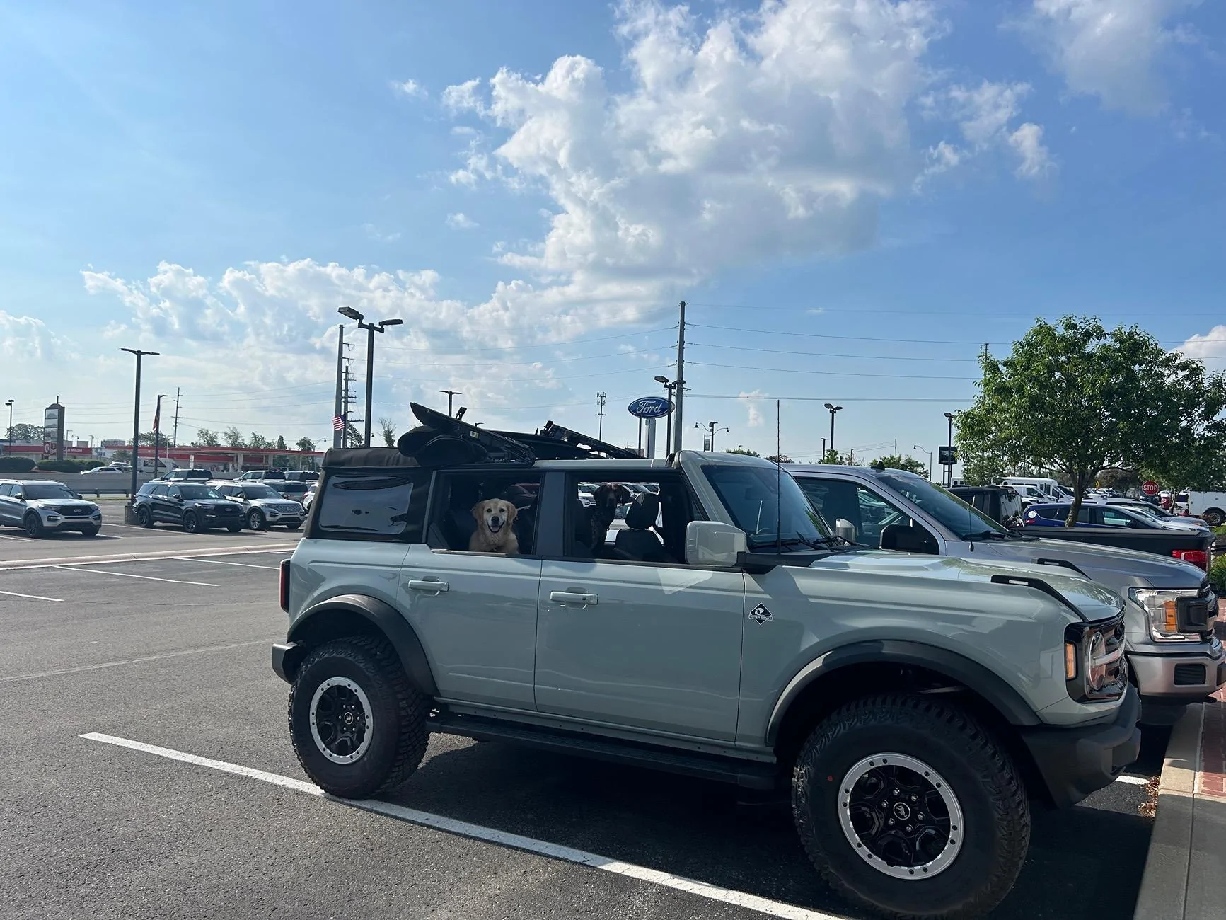 Ford Bronco 2024 Factory Soft Top - 4 Door IMG_2332_Original