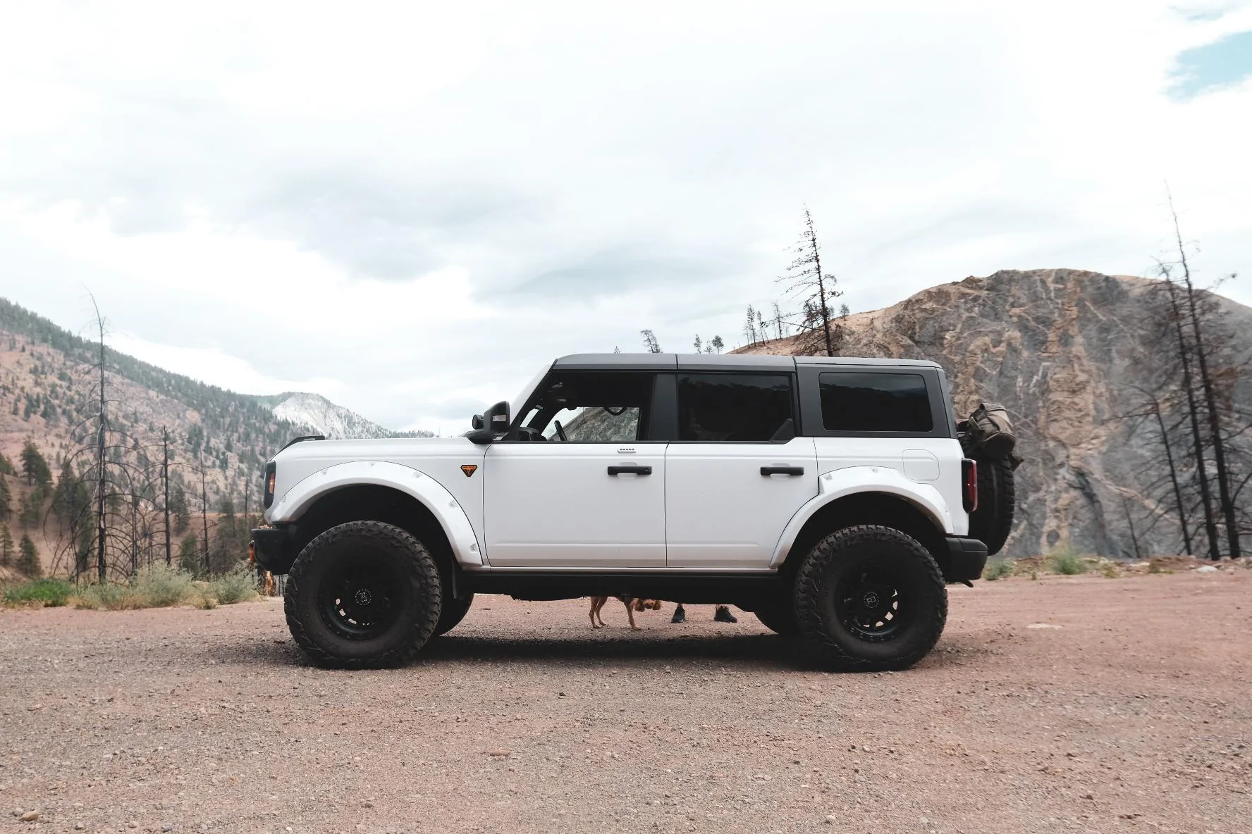 Ford Bronco New Fenders for 2025? EB93C770-228D-43E8-8803-F5D1BA42E16D-362-00000006E44B3DF2