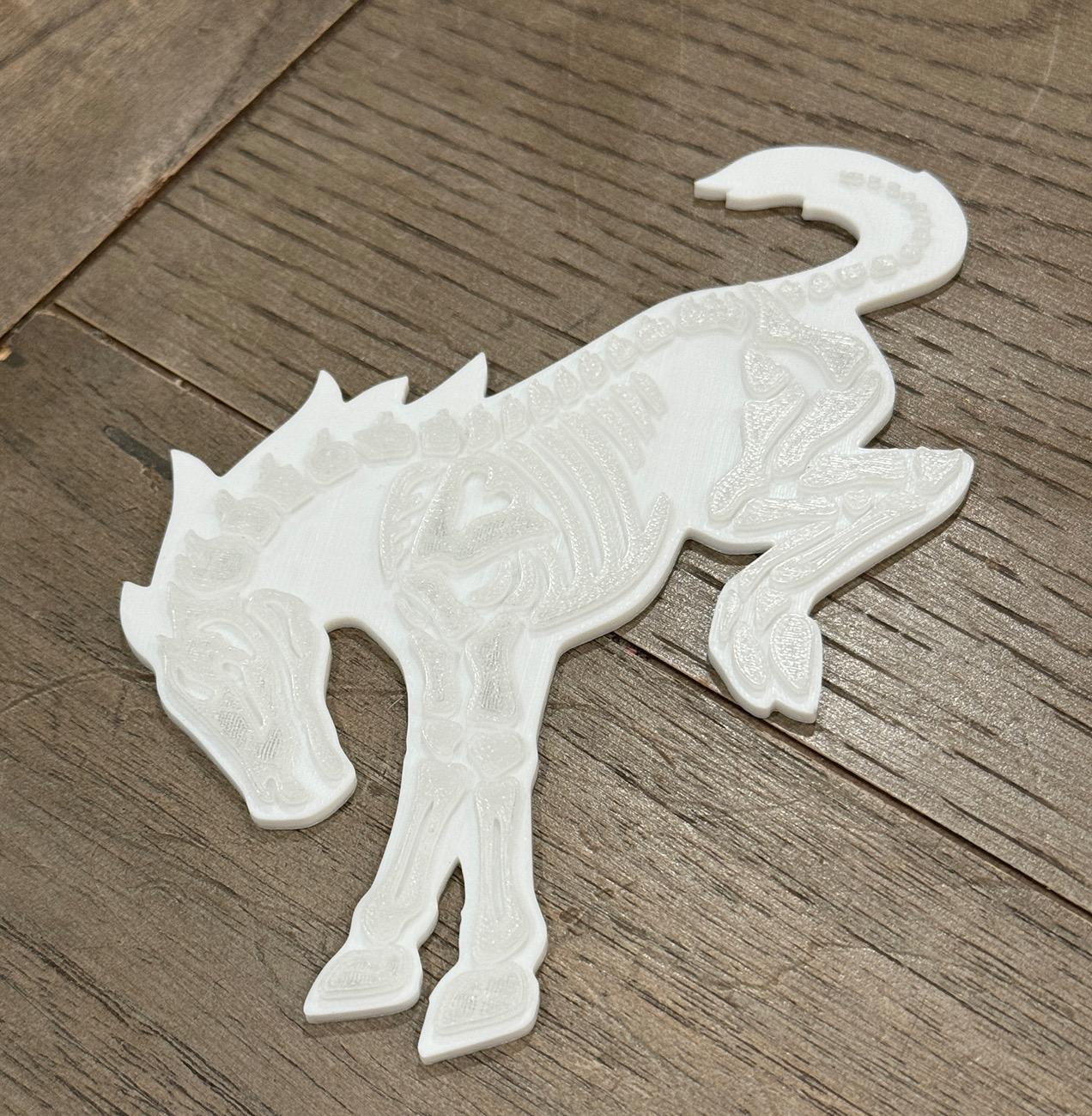 Ford Bronco Custom 2-Tone Bucking Bronco Skeleton Emblem IMG_9007
