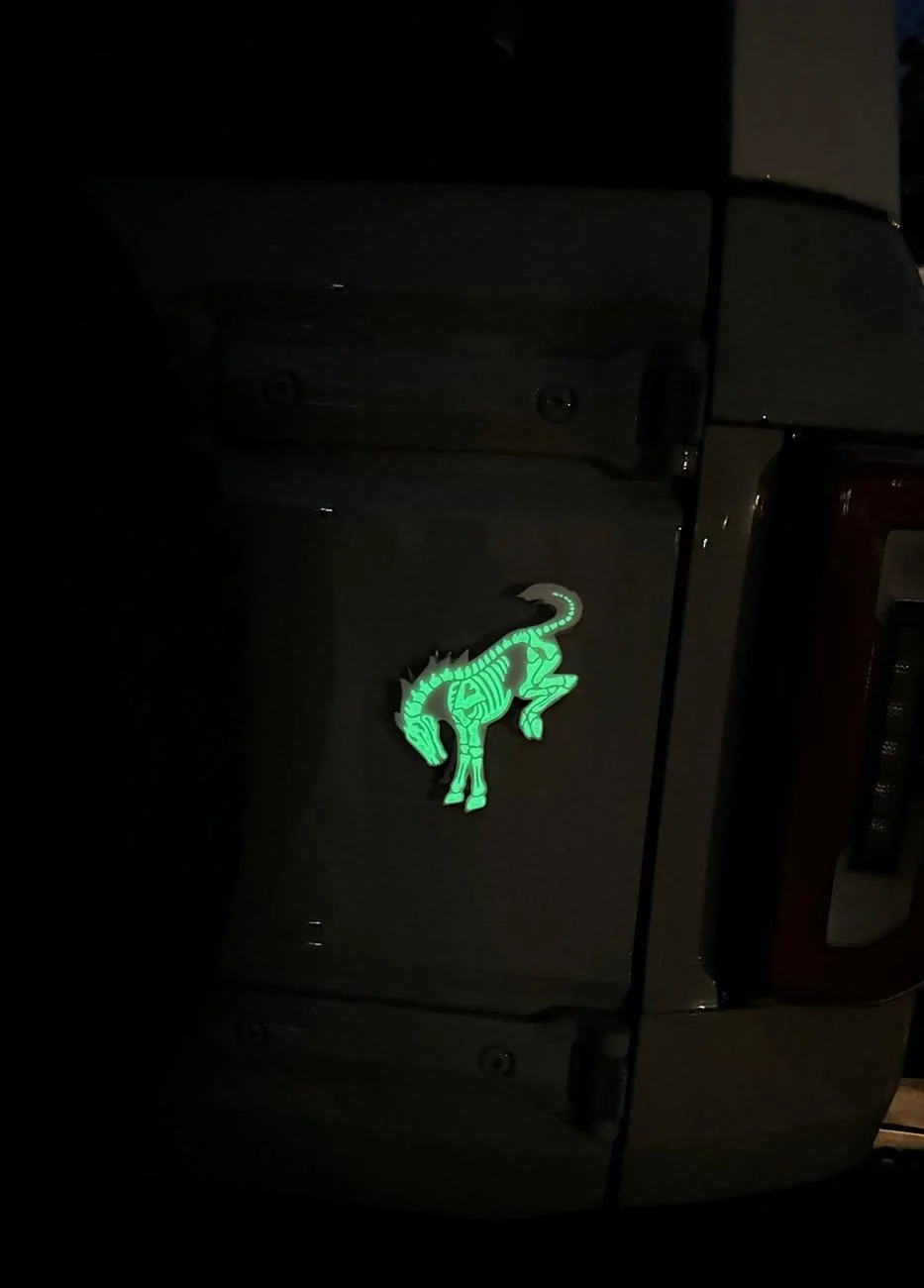 Ford Bronco Custom 2-Tone Bucking Bronco Skeleton Emblem IMG_9001 2