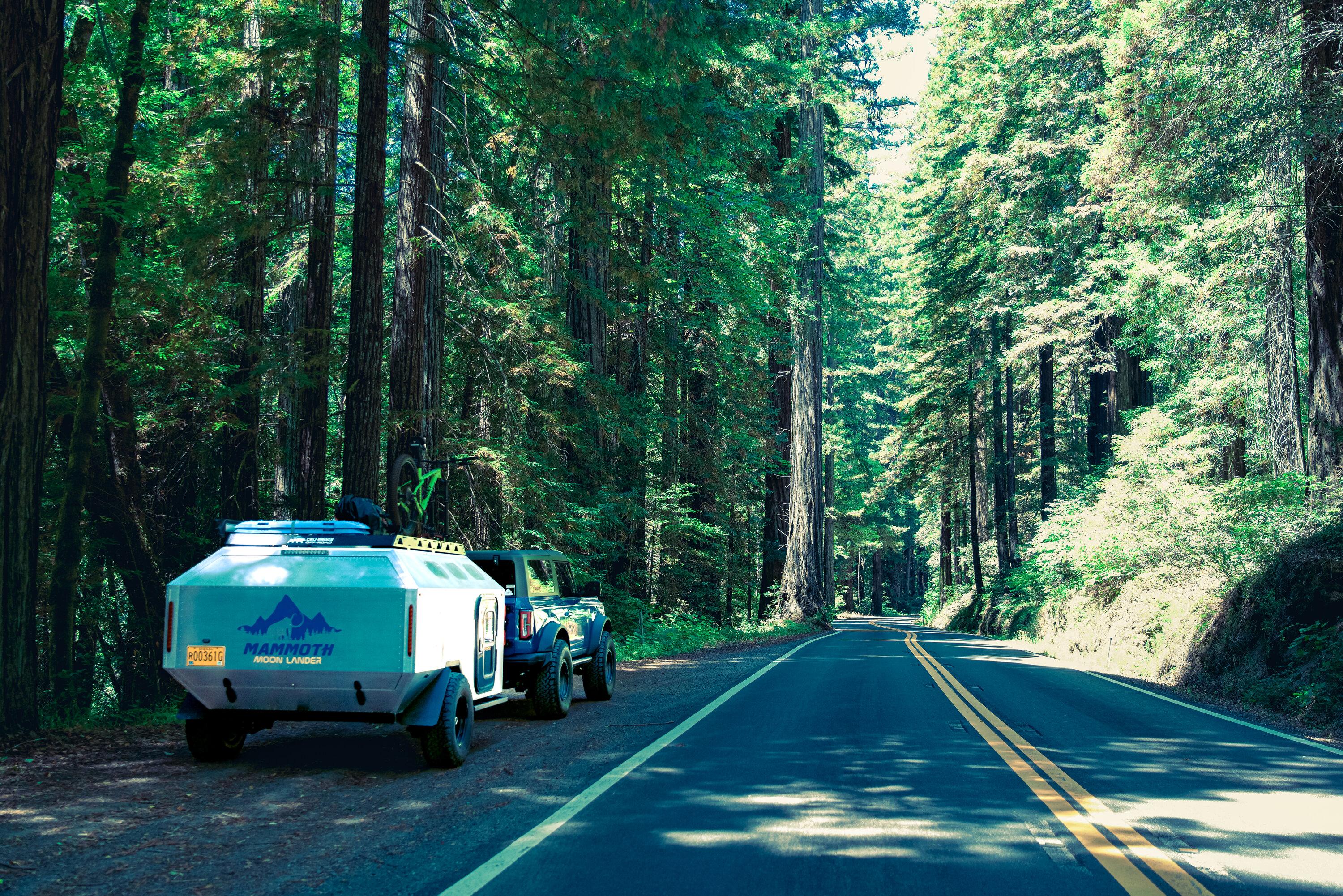 Ford Bronco Avenue of the Giants (Redwoods) - Humboldt County DSC07617-2