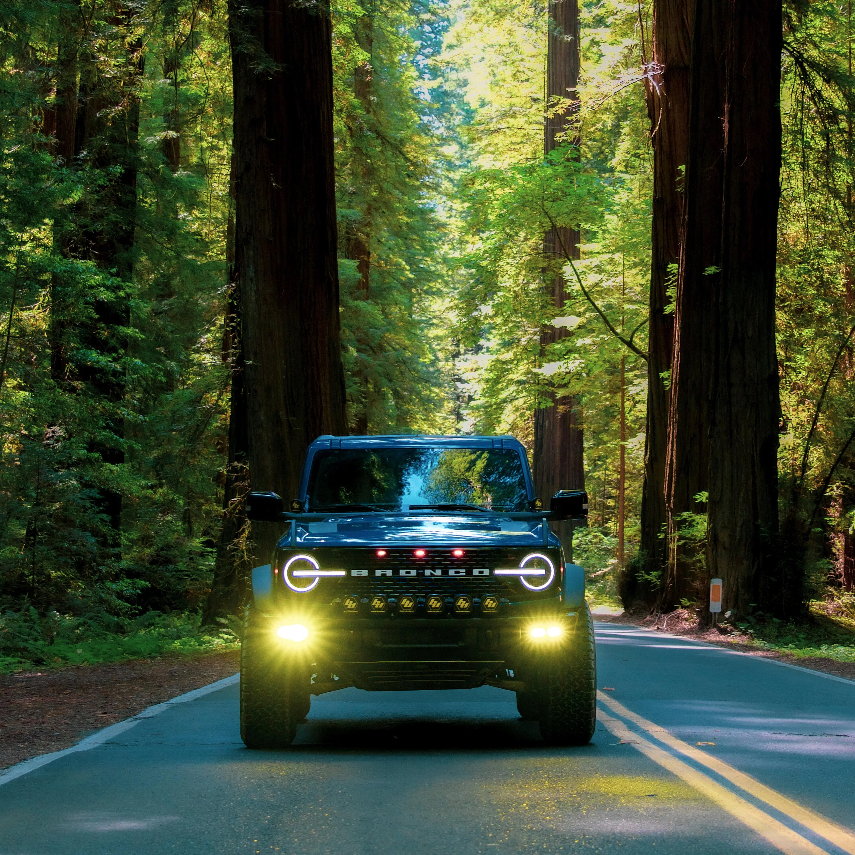 Ford Bronco Avenue of the Giants (Redwoods) - Humboldt County 18790E67-24B6-4A31-B403-11293D7F6DD3
