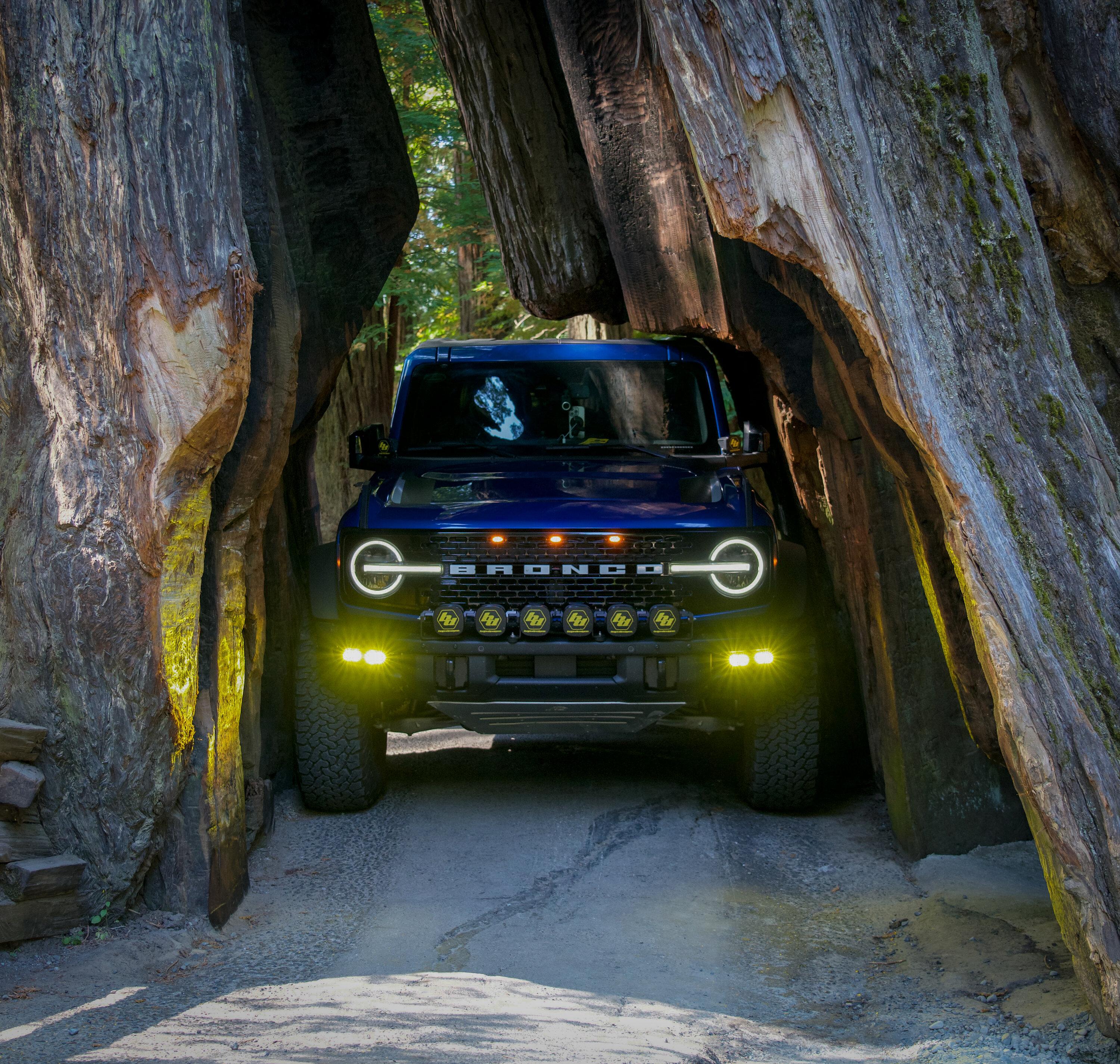 Ford Bronco Avenue of the Giants (Redwoods) - Humboldt County DSC07629.JPG