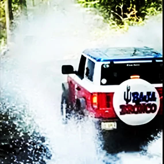 Ford Bronco Throwback Thursday! Post those Bronco retro / heritage / classic graphics! IMG_20240422_194624_199