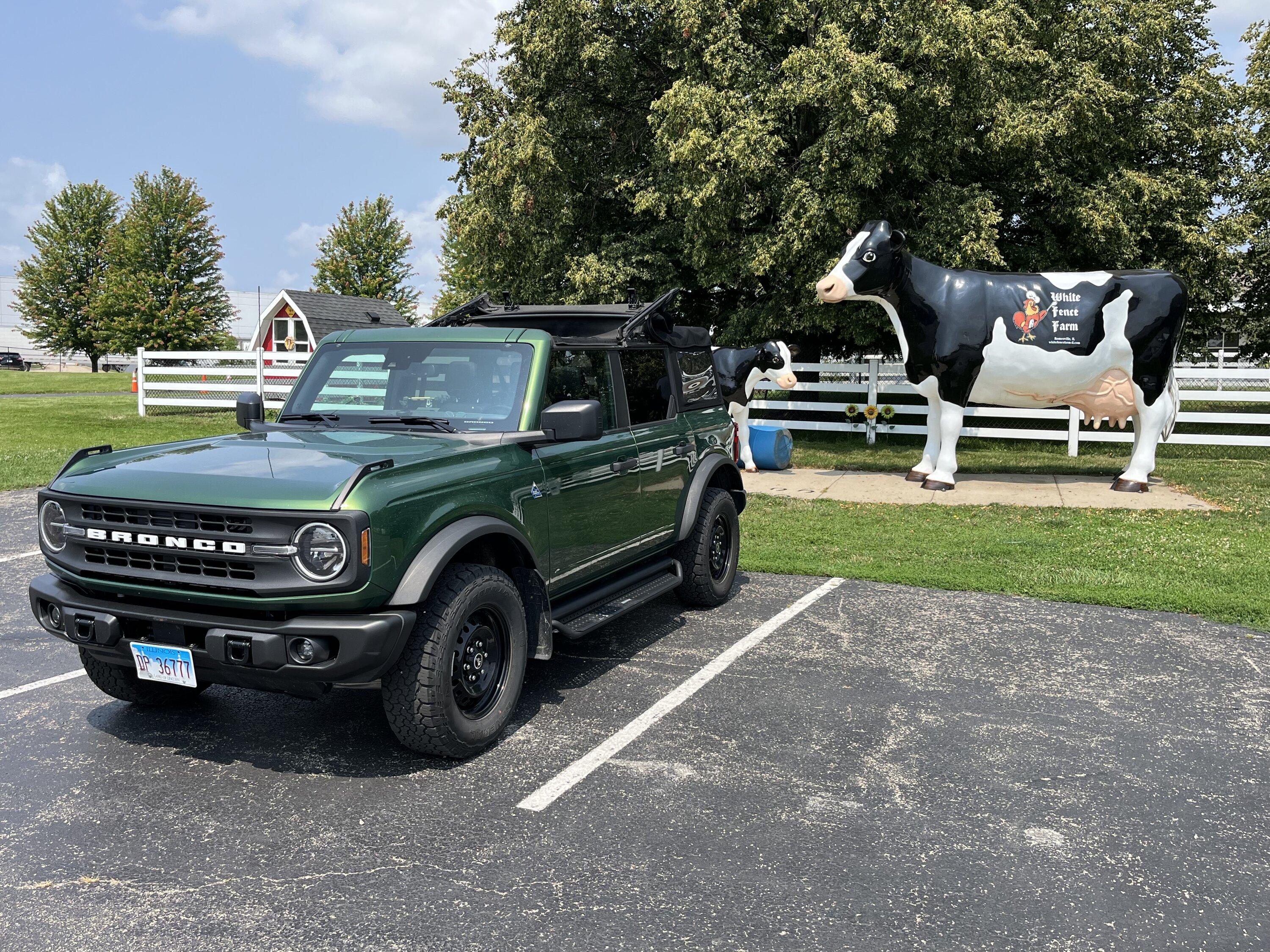 Ford Bronco Illinois Route 66 Trip IMG_2649