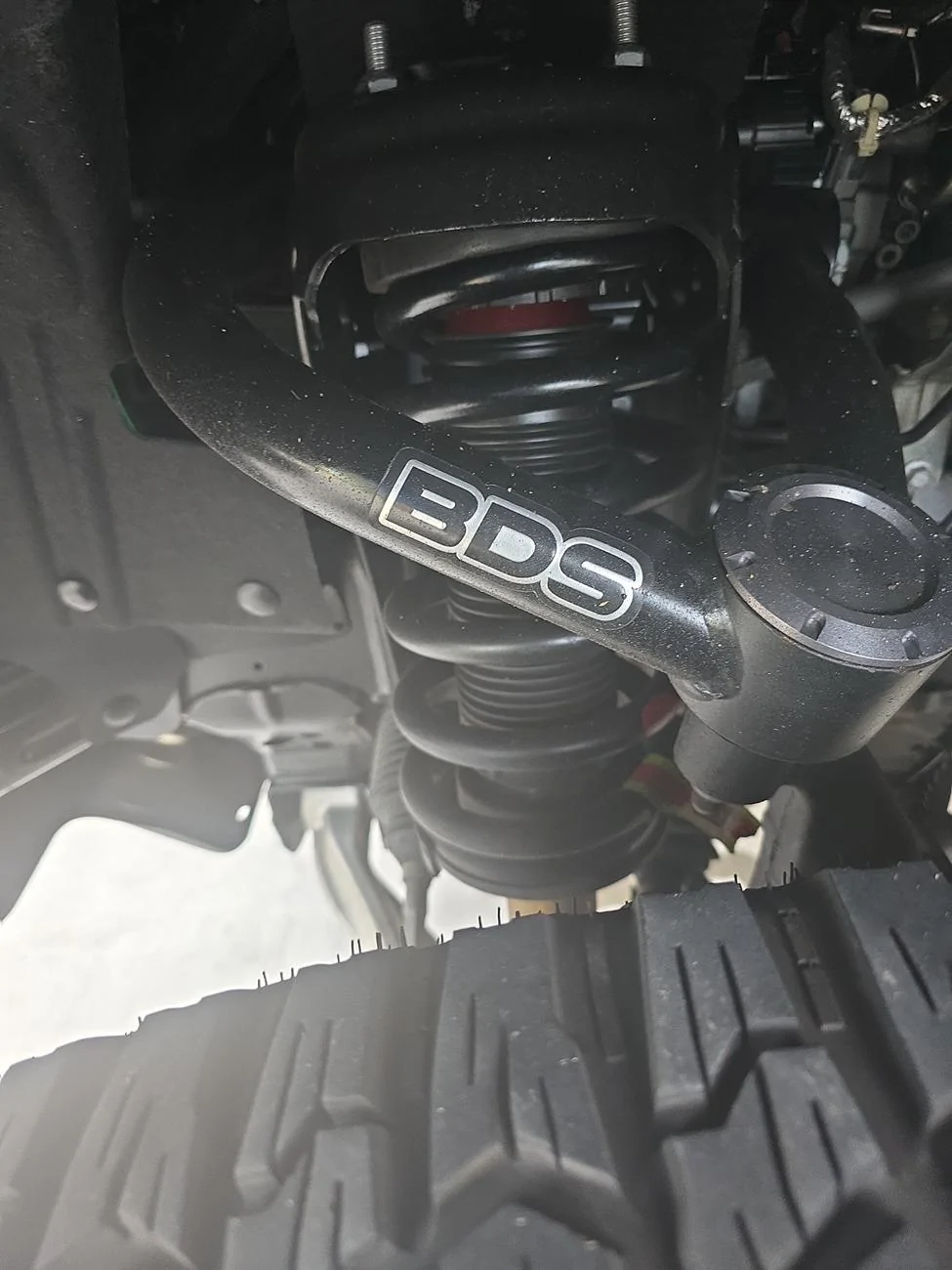 Ford Bronco Rise of Fenix the BadSas (Build & Adventures) 1000093142
