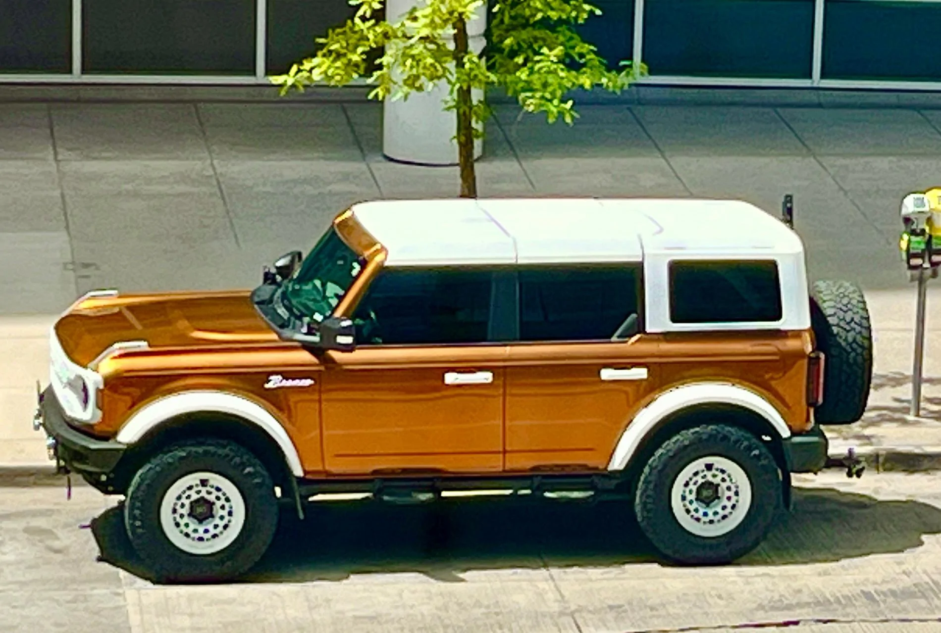 Ford Bronco Show us your white tops! IMG_5815 3