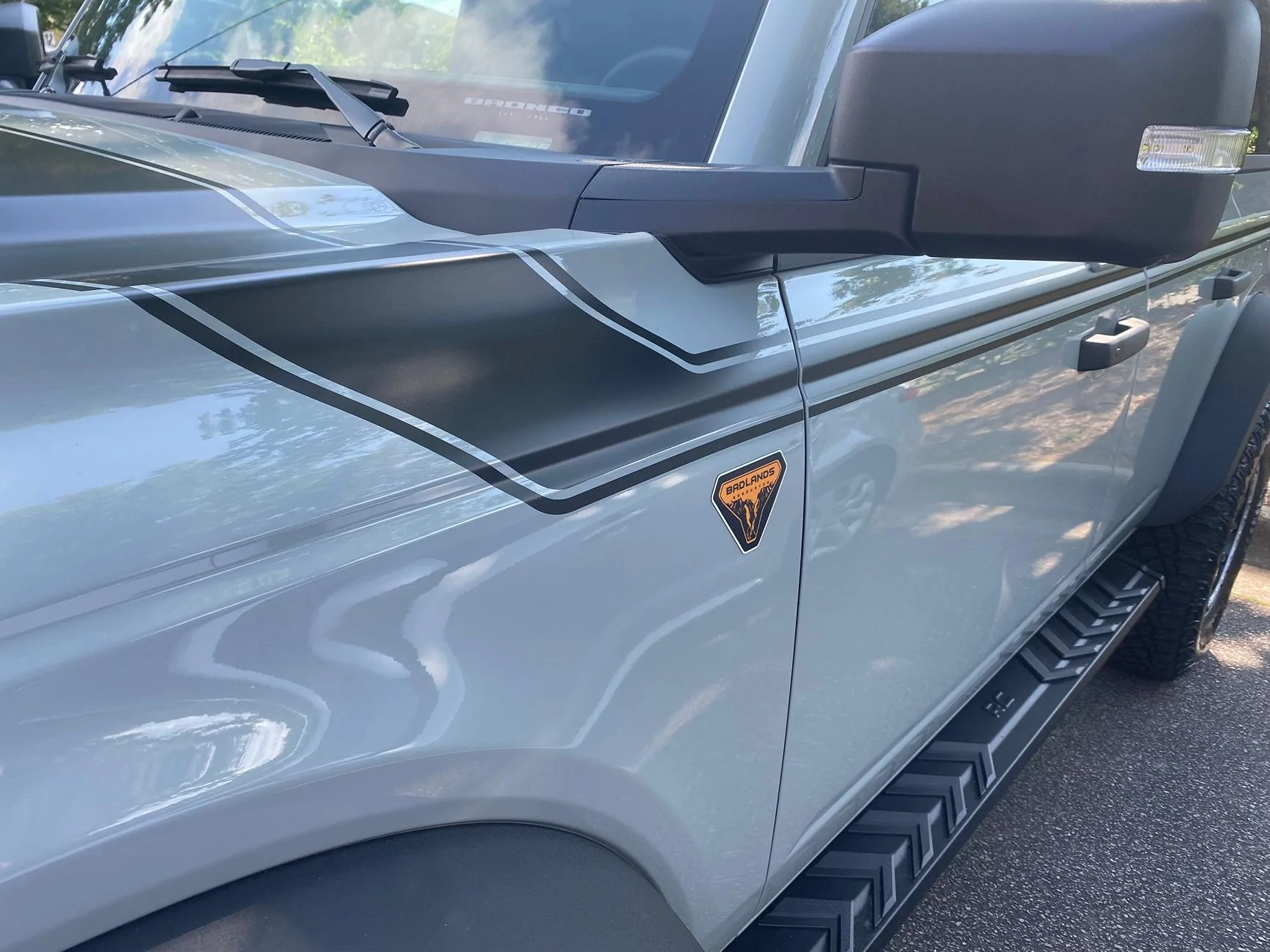 Ford Bronco CACTUS GRAY Bronco Club IMG_7613
