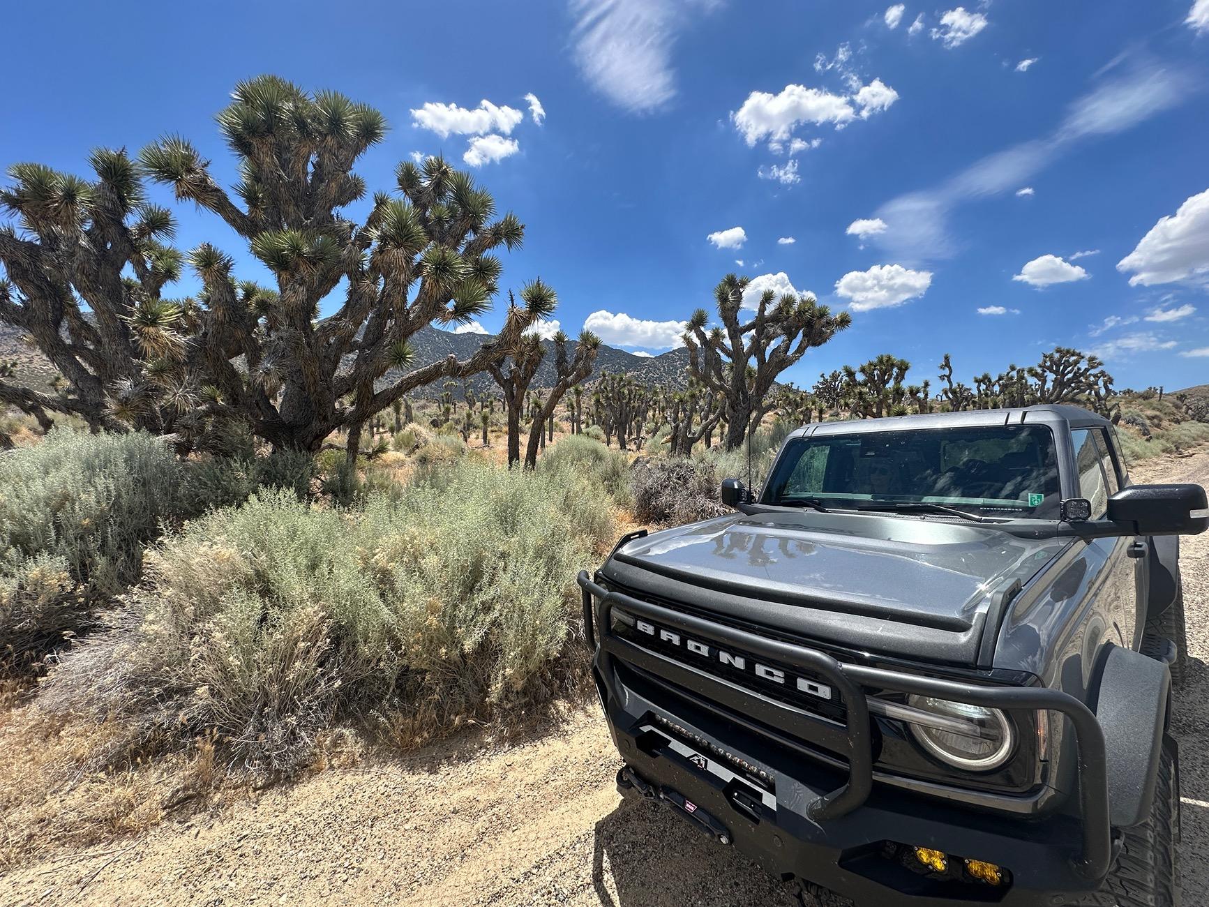 Ford Bronco CARBONIZED GRAY Bronco Club IMG_8342.JPG