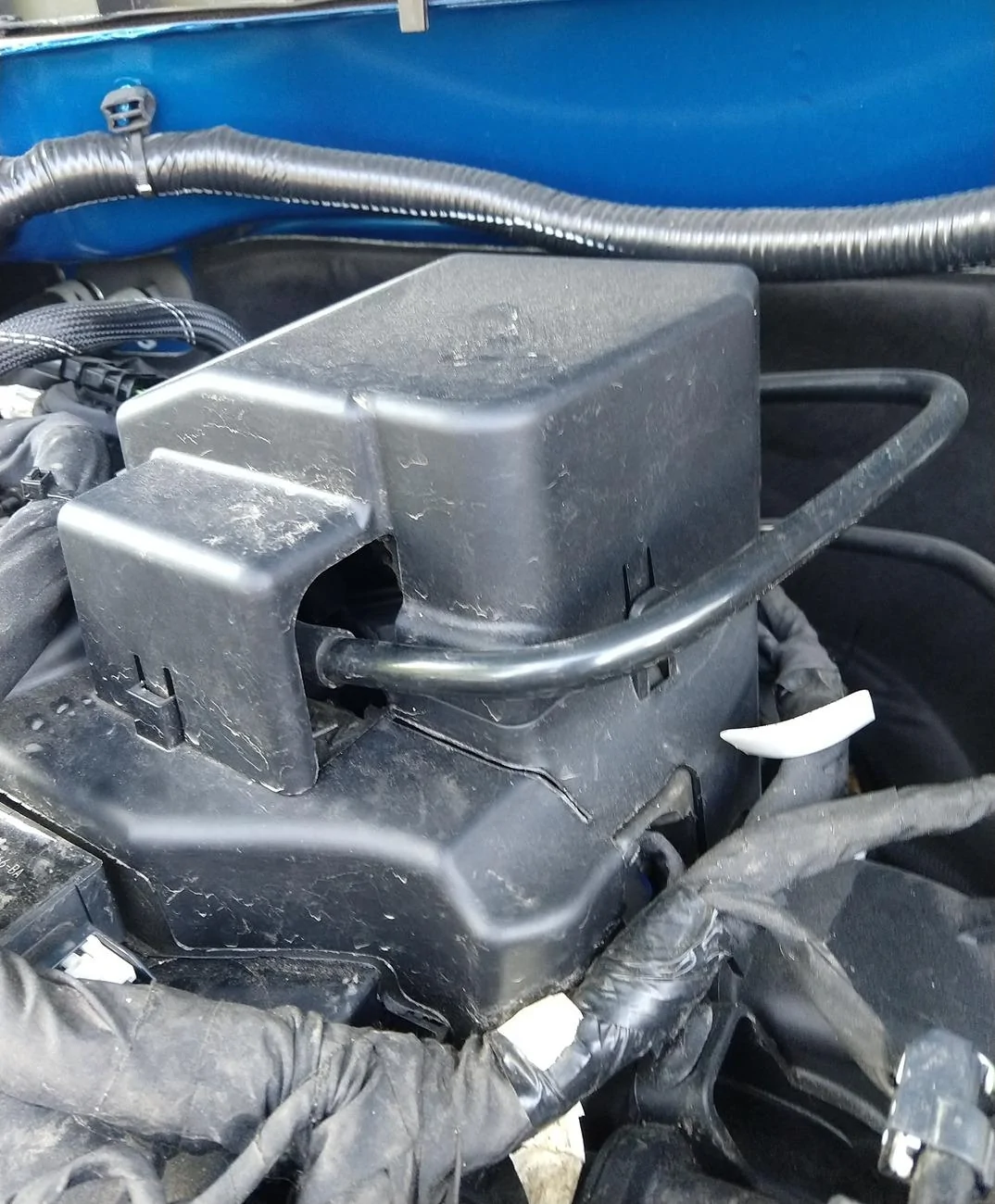 Ford Bronco Mice in engine compartment IMG_20240804_154626824~2