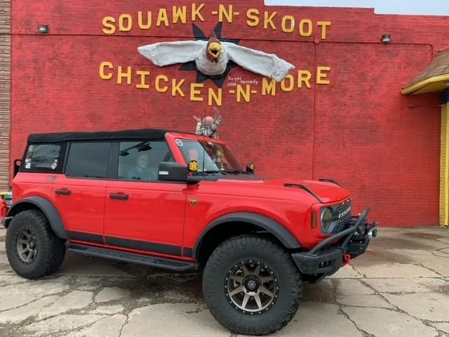 chicken mural.jpg