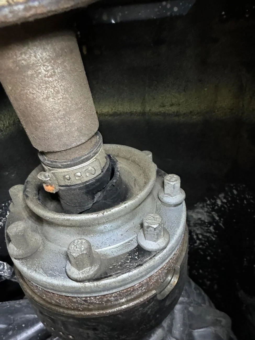 Ford Bronco rear drive line seal IMG_2400