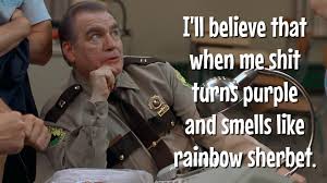 Ford Bronco Software update next week?? super-troopers-shit-turns-purple