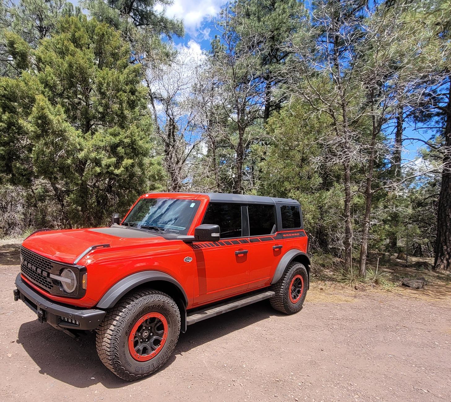 Ford Bronco Year 1 with Pepper 20240511_124225