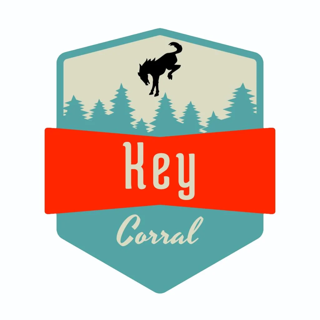 Ford Bronco Key Fob Holder Solution: Key Corral Key_Corral_Whit