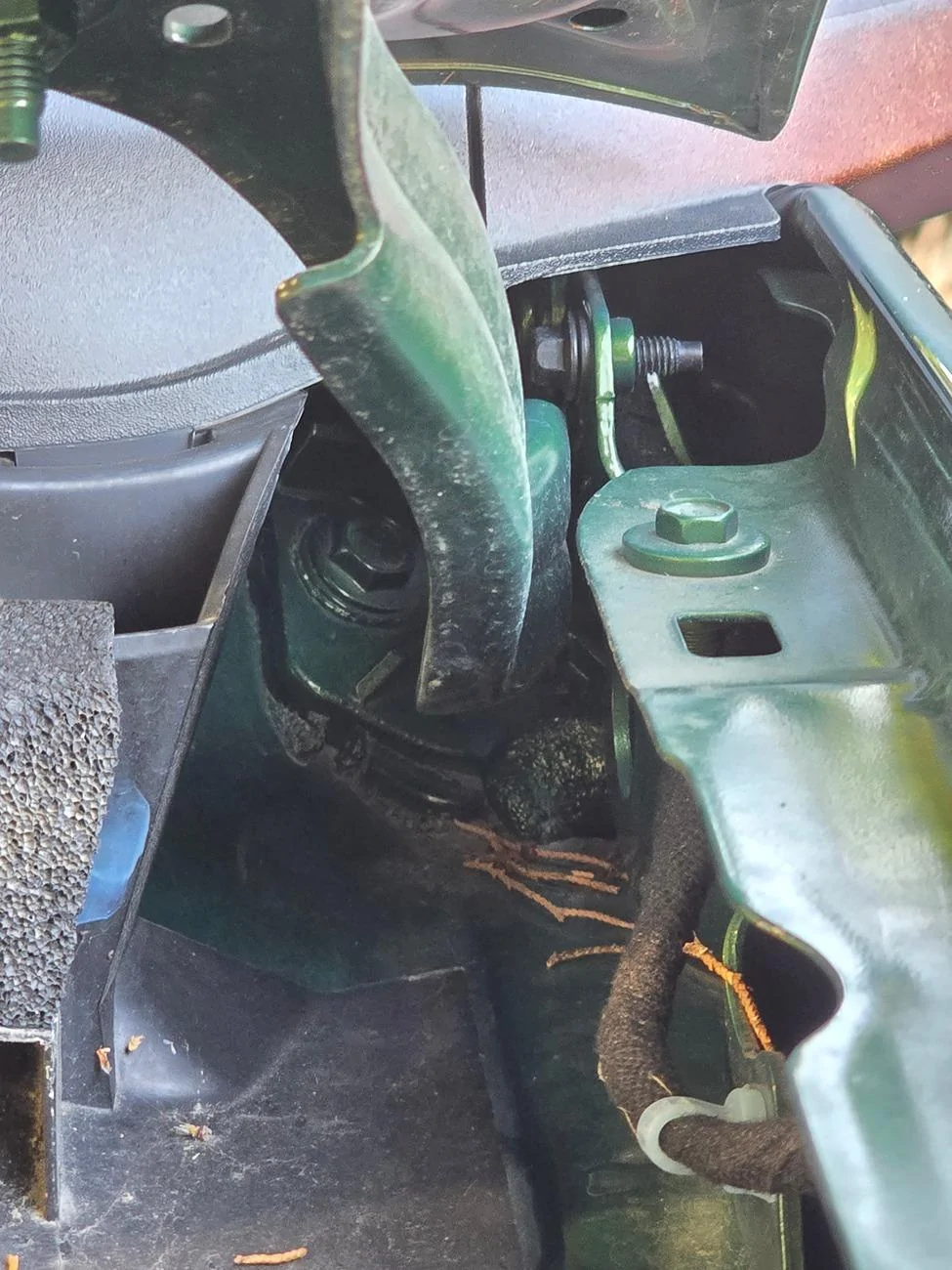 Ford Bronco Raptor hood on non-raptor Bronco? 1000014456