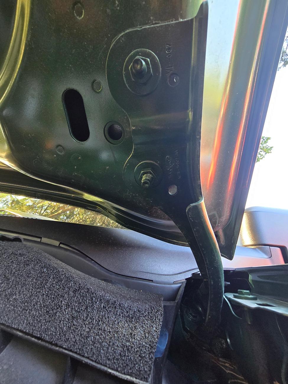 Ford Bronco Raptor hood on non-raptor Bronco? 1000014441