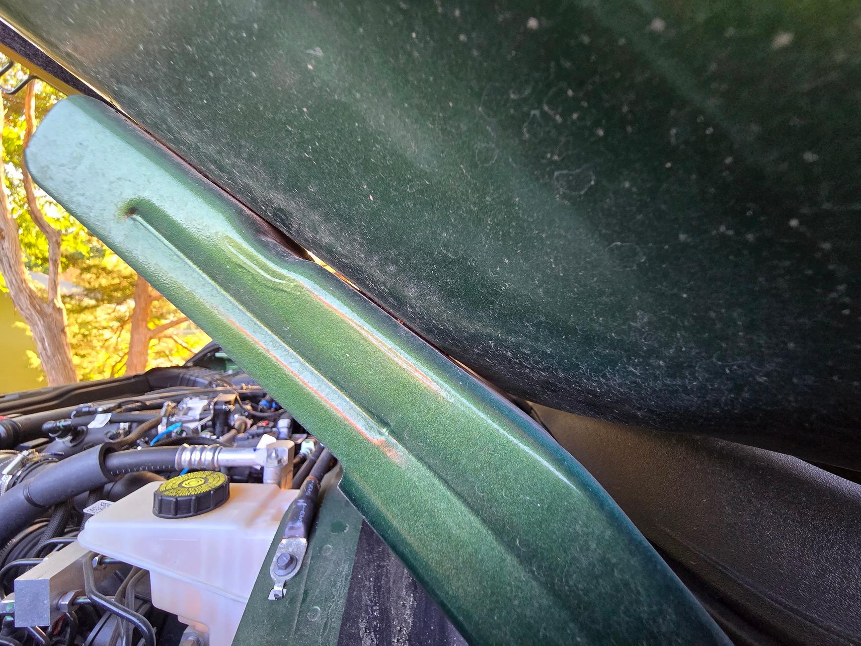 Ford Bronco Raptor hood on non-raptor Bronco? 1000014440