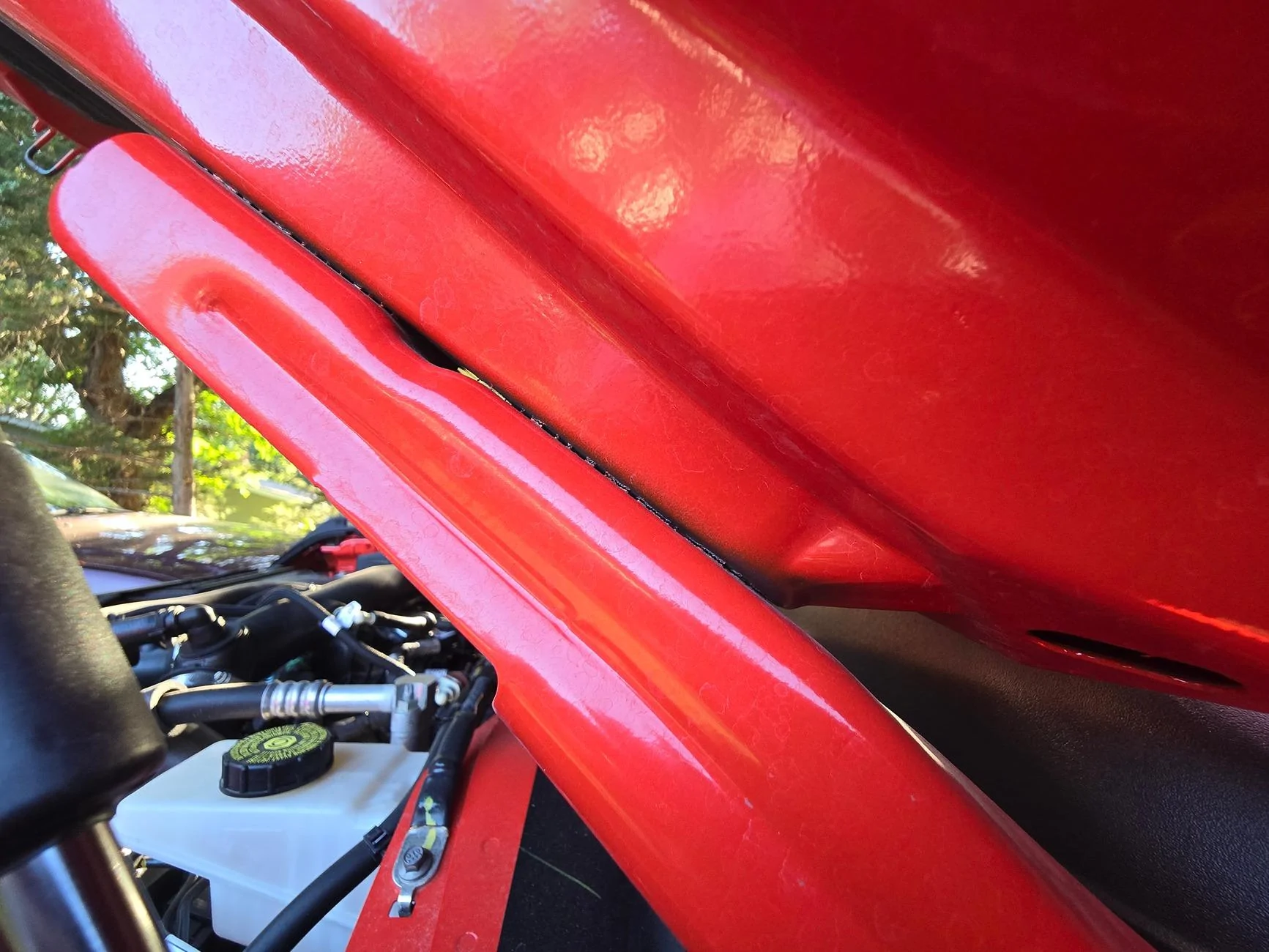 Ford Bronco Raptor hood on non-raptor Bronco? 1000014439