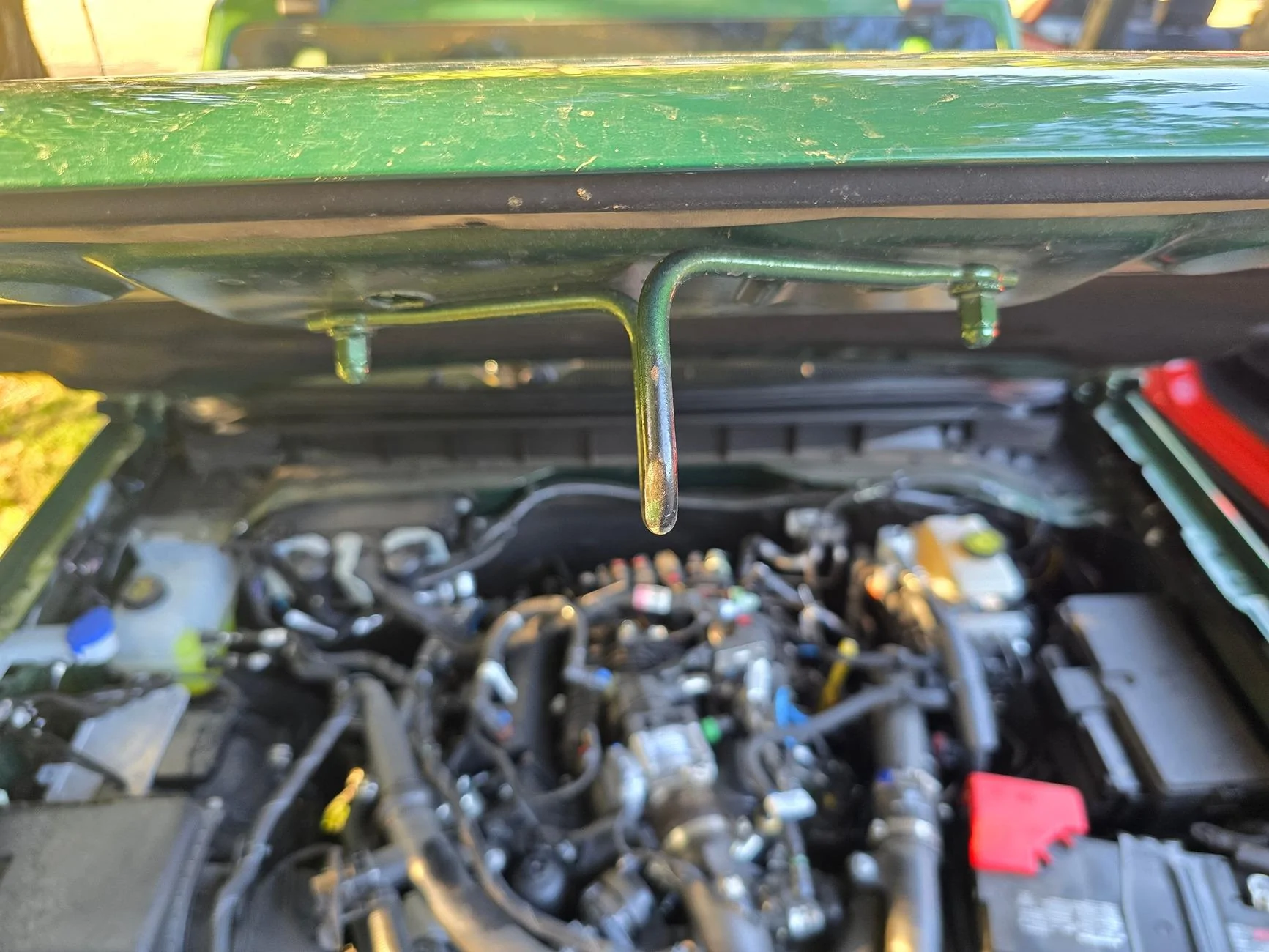 Ford Bronco Raptor hood on non-raptor Bronco? 1000014447