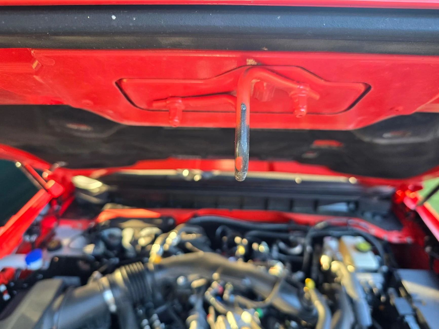 Ford Bronco Raptor hood on non-raptor Bronco? 1000014450