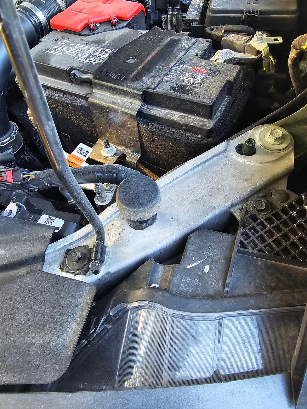 Ford Bronco Raptor hood on non-raptor Bronco? 1000014435