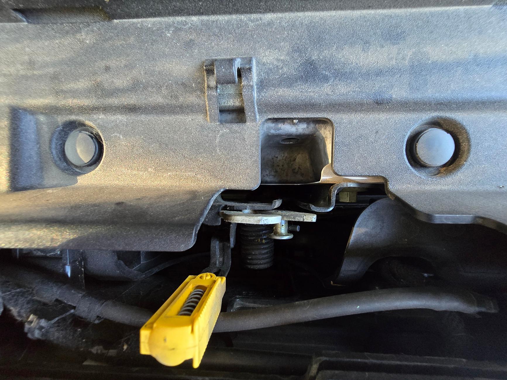 Ford Bronco Raptor hood on non-raptor Bronco? 1000014446