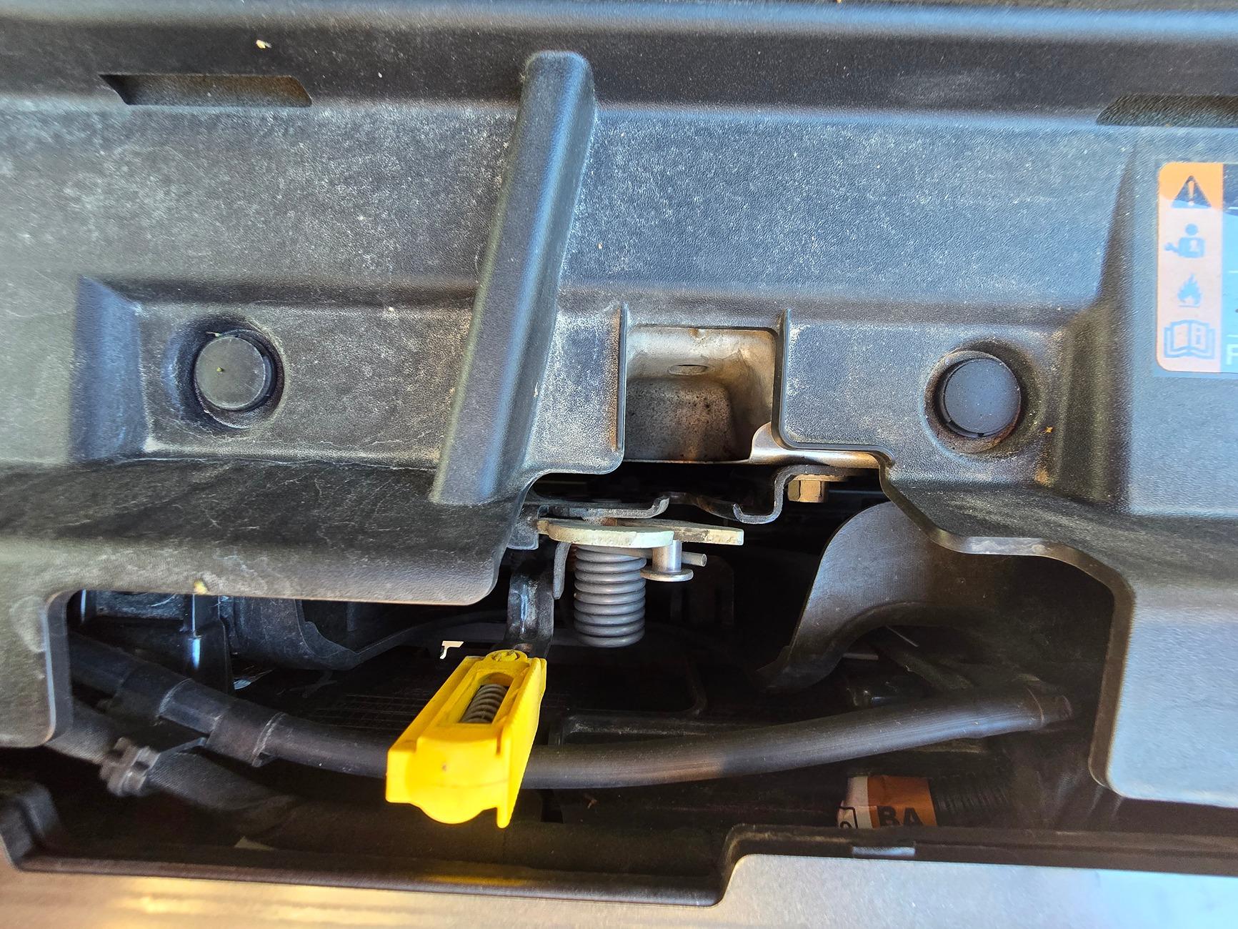 Ford Bronco Raptor hood on non-raptor Bronco? 1000014445