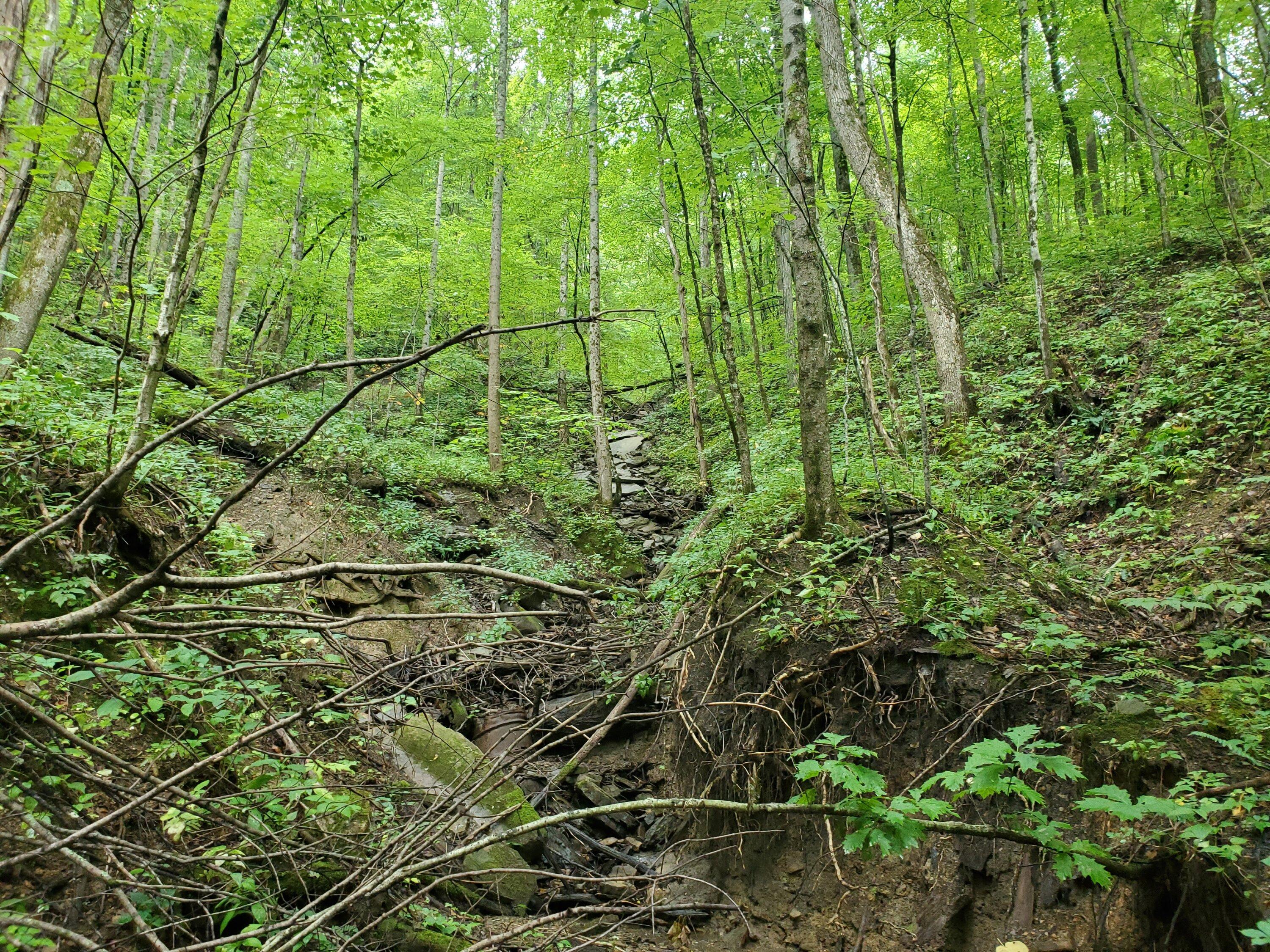 20240817_095904.jpg