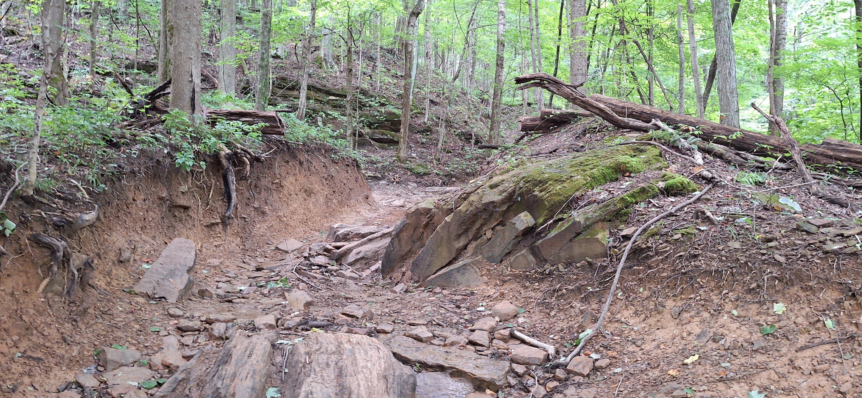 20240817_114252.jpg