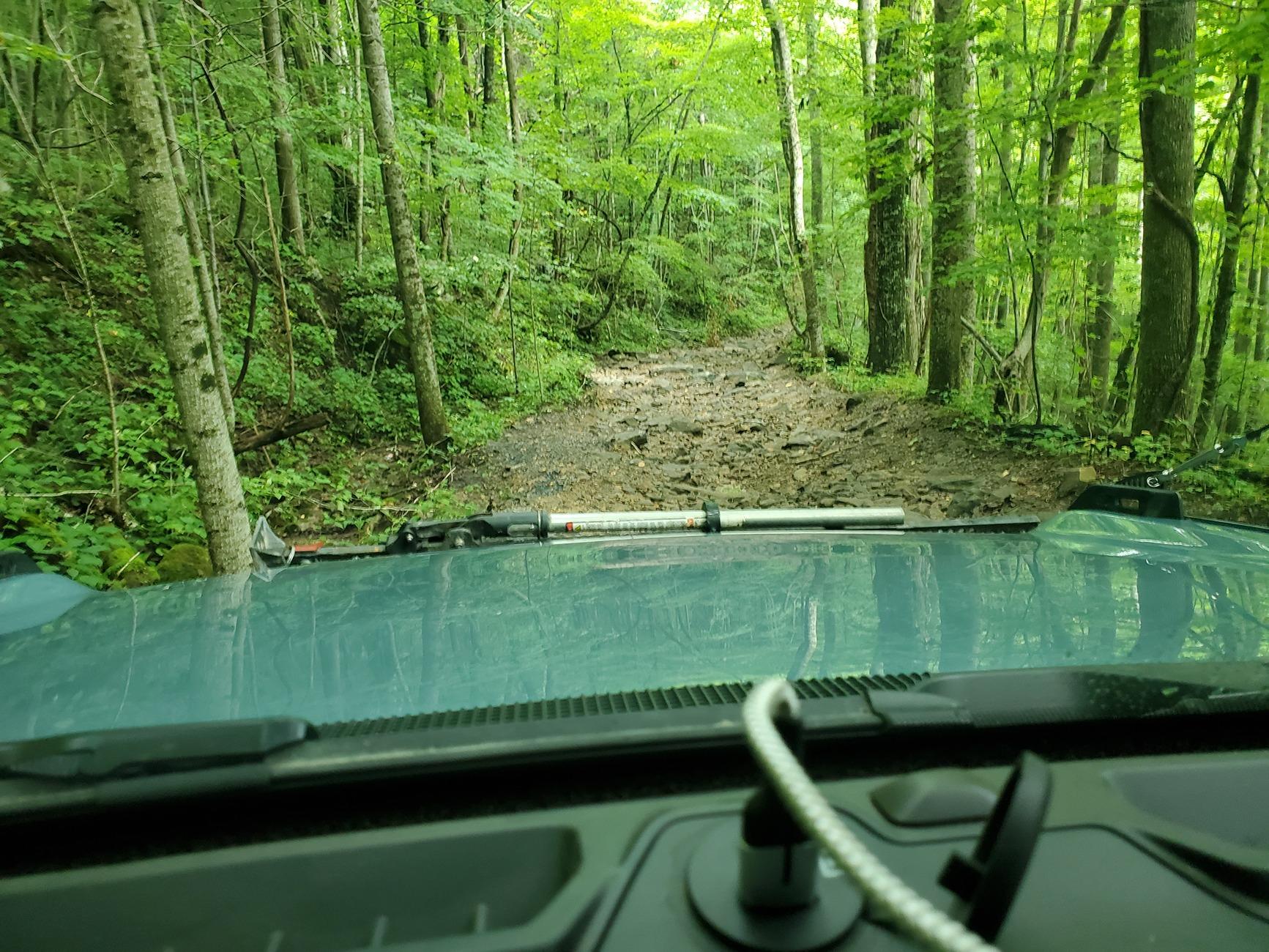 Ford Bronco Windrock Trail 11, 13, S8 (outside the park on TWRA land), 30, and 2. 20240817_100813