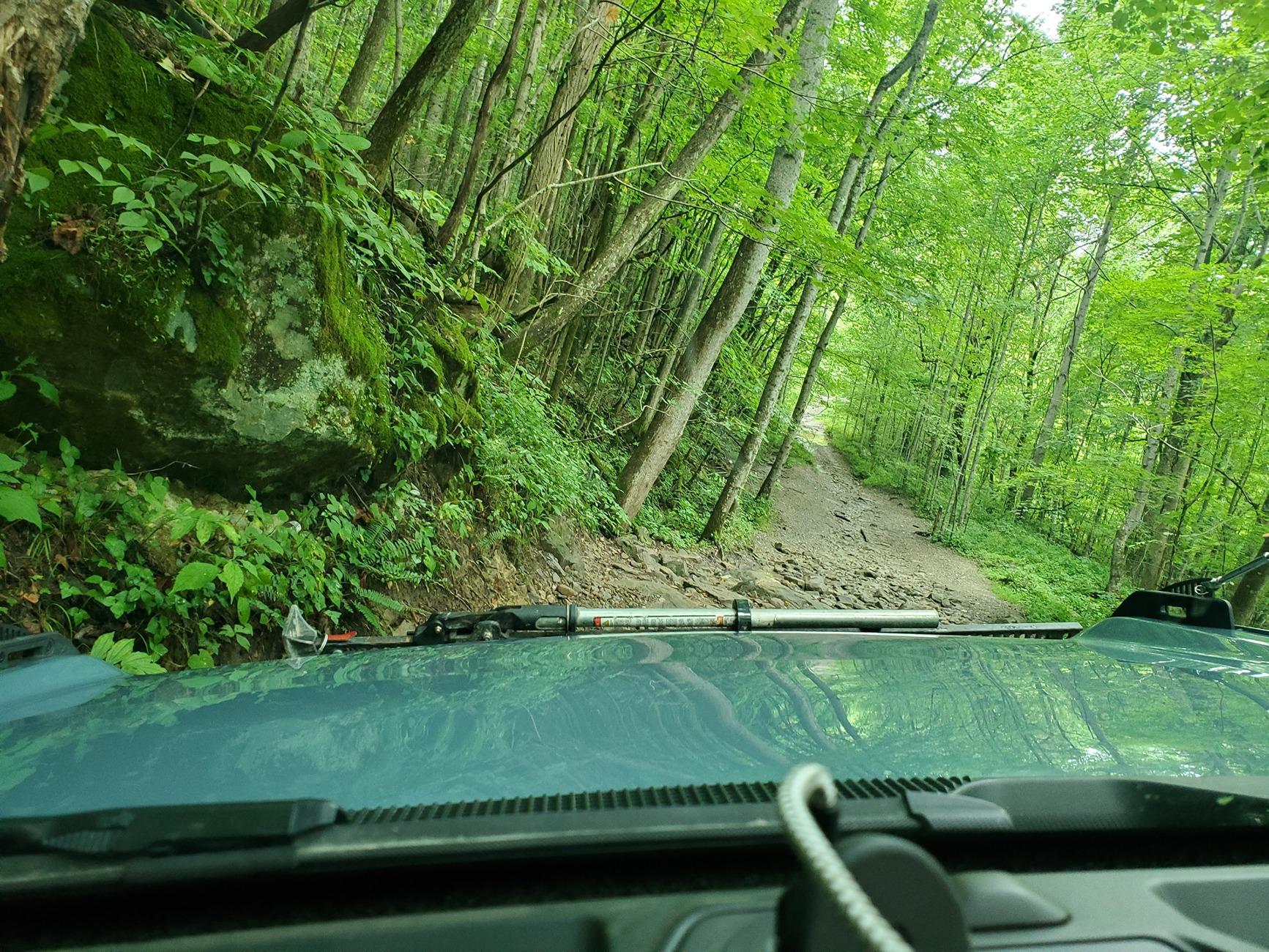 Ford Bronco Windrock Trail 11, 13, S8 (outside the park on TWRA land), 30, and 2. 20240817_102145