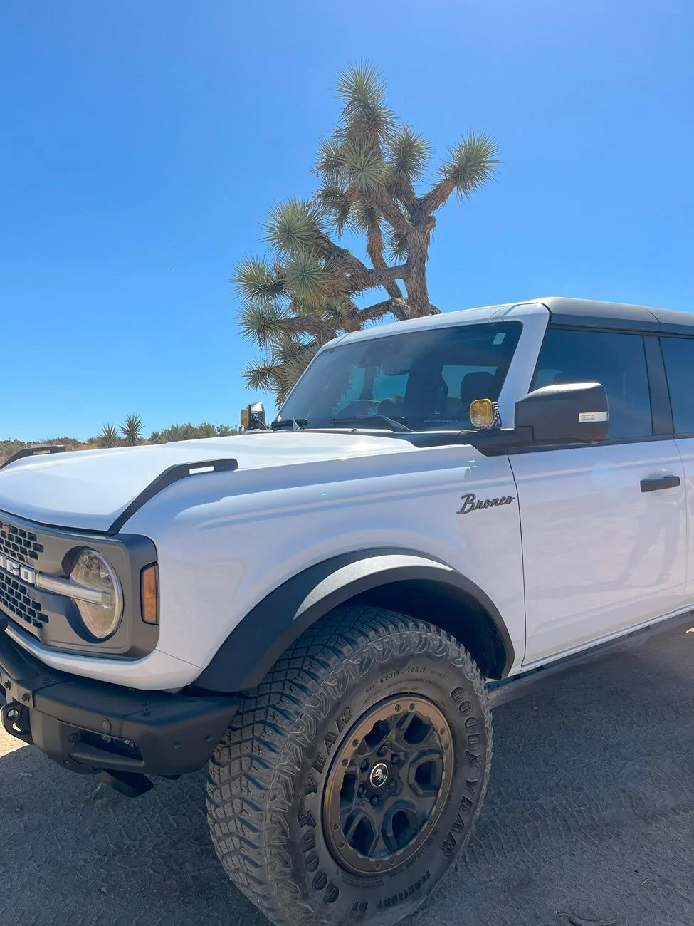 Ford Bronco First Timer Off-Road - Berdoo Canyon Trail in Joshua Tree National Park IMG_7971