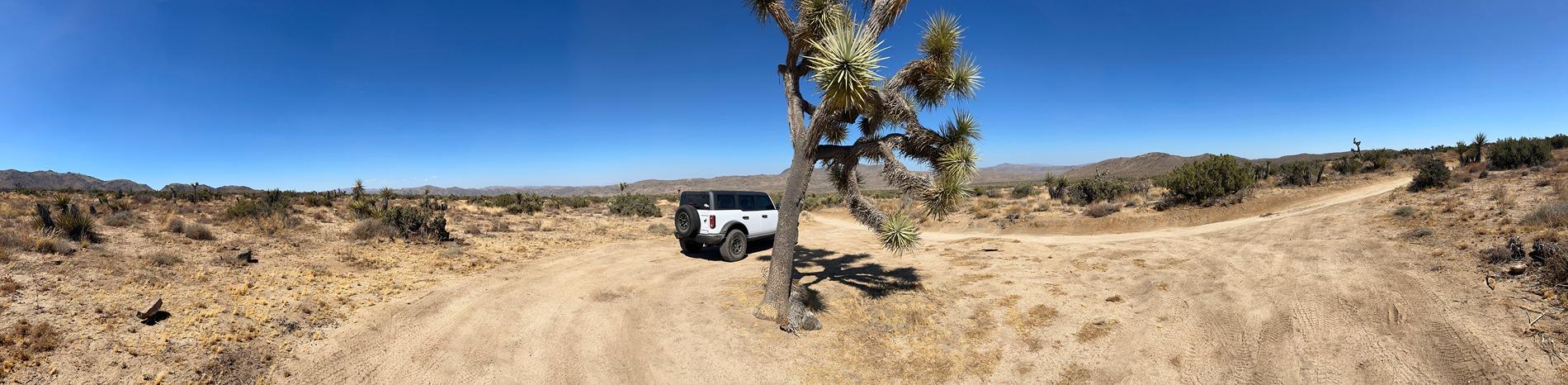 Ford Bronco First Timer Off-Road - Berdoo Canyon Trail in Joshua Tree National Park IMG_7968.JPG