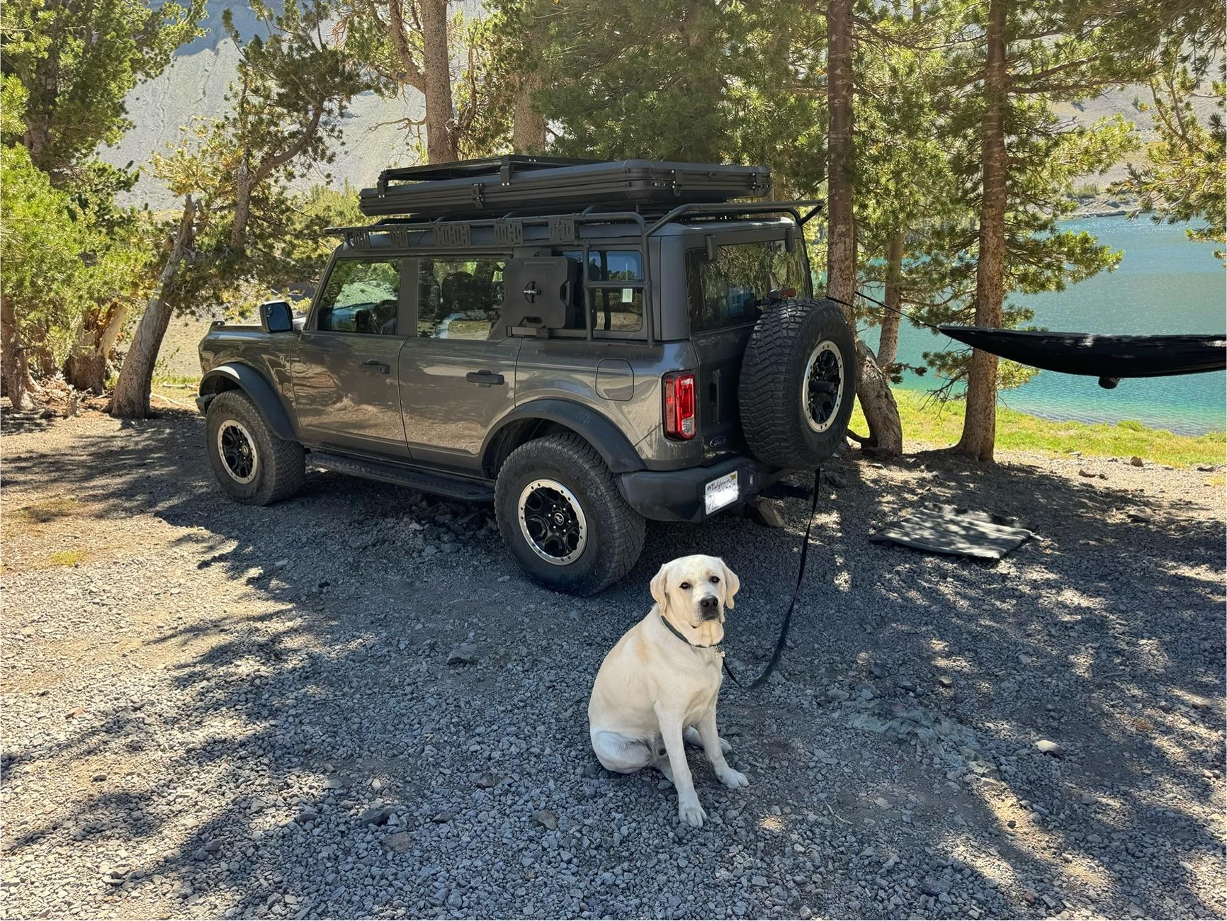 Ford Bronco My Build So Far IMG_9383