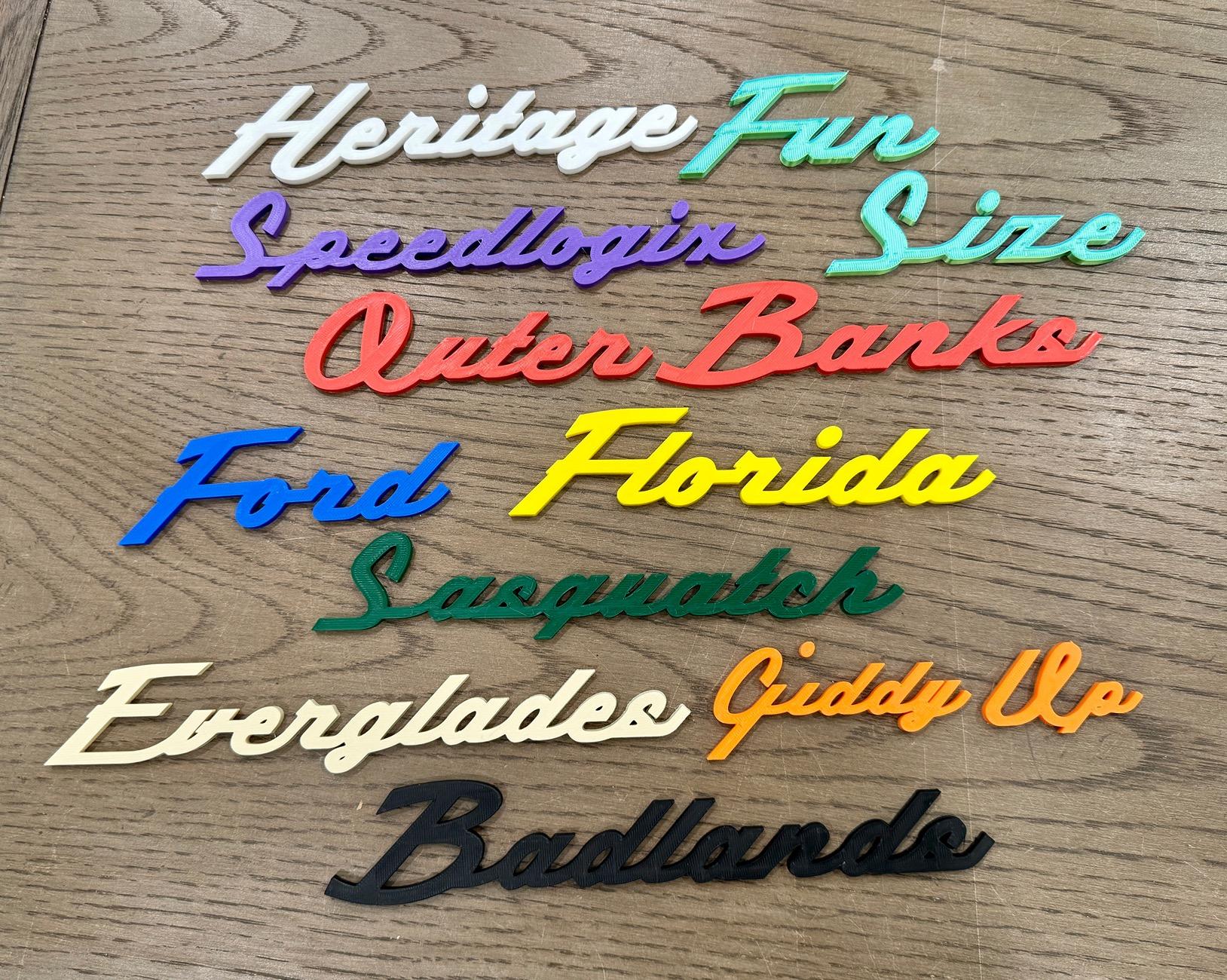 Ford Bronco Get Your Custom Word Badges in Bronco Script Font IMG_9841