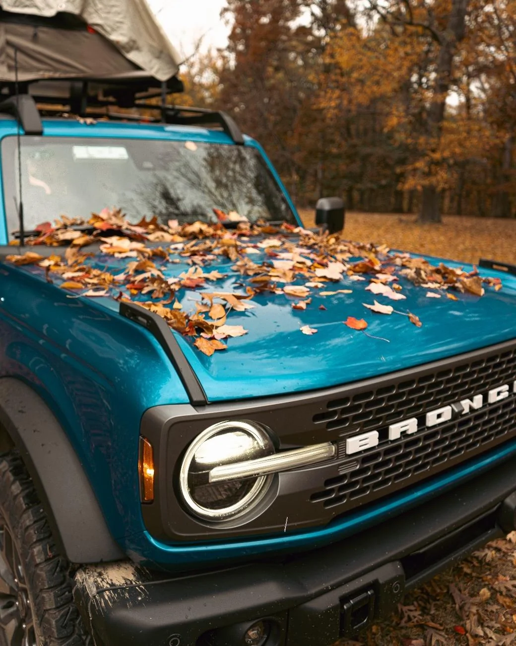 Ford Bronco New 2025 Bronco color sneak peek? [Update: just Velocity Blue with photo filter] 457310924_1024059229730649_1773295181743475045_n
