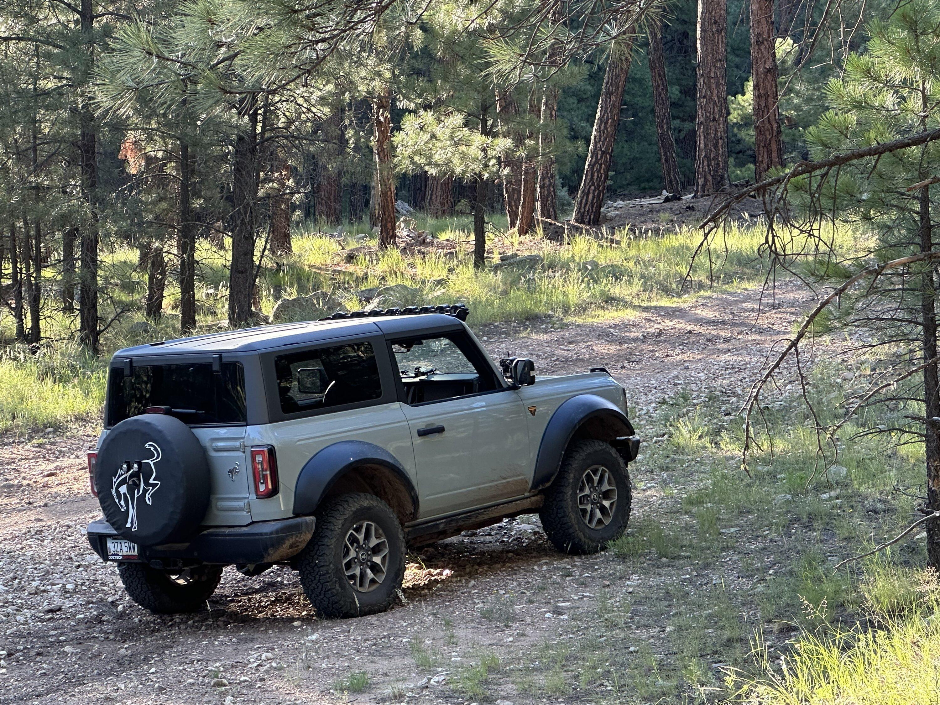 Ford Bronco Another  Cactus Gray Badlands 2-door Thread IMG_2459