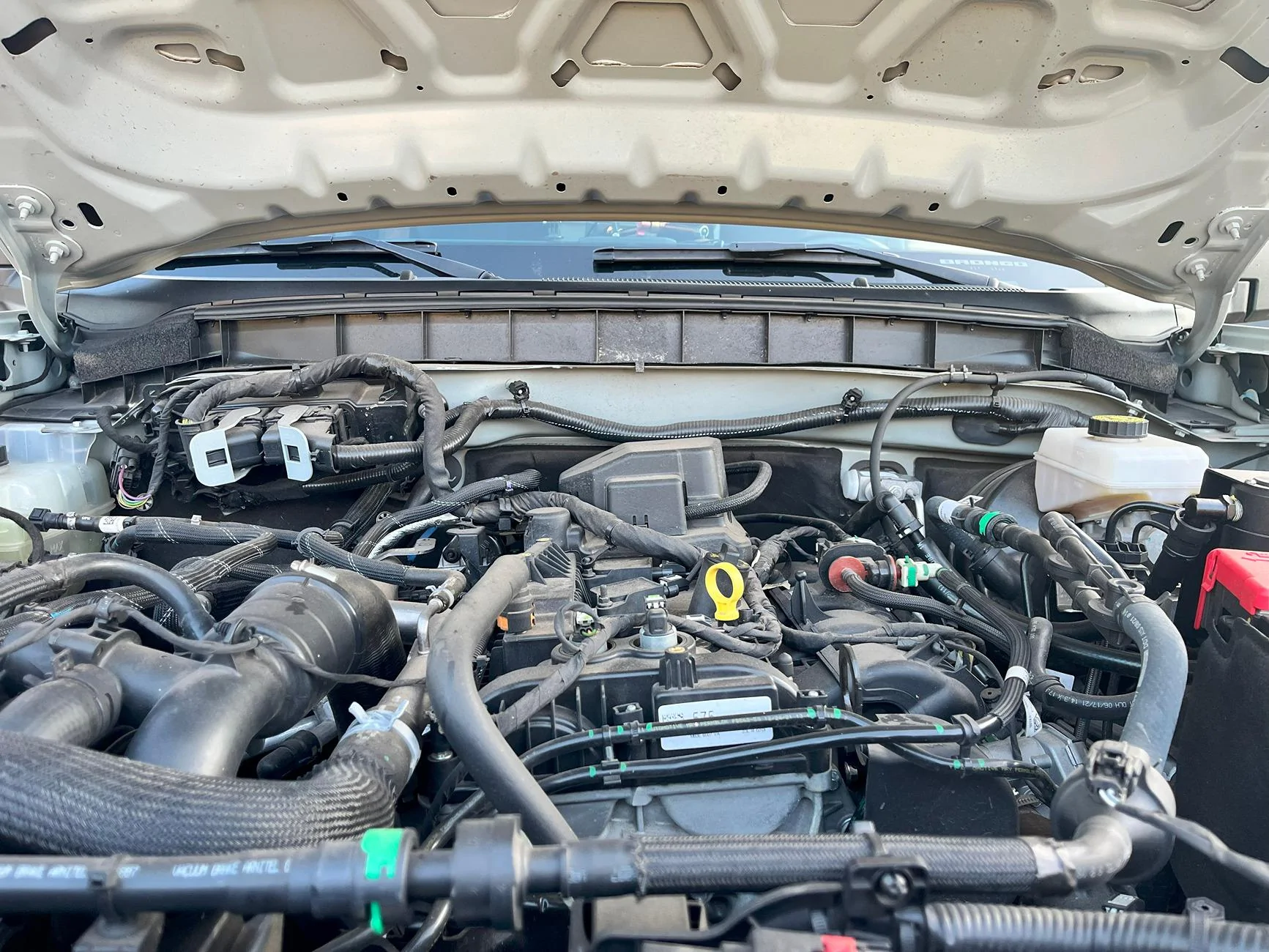 Ford Bronco Noise and Vibration on Ignition and Acceleration IMG_3938