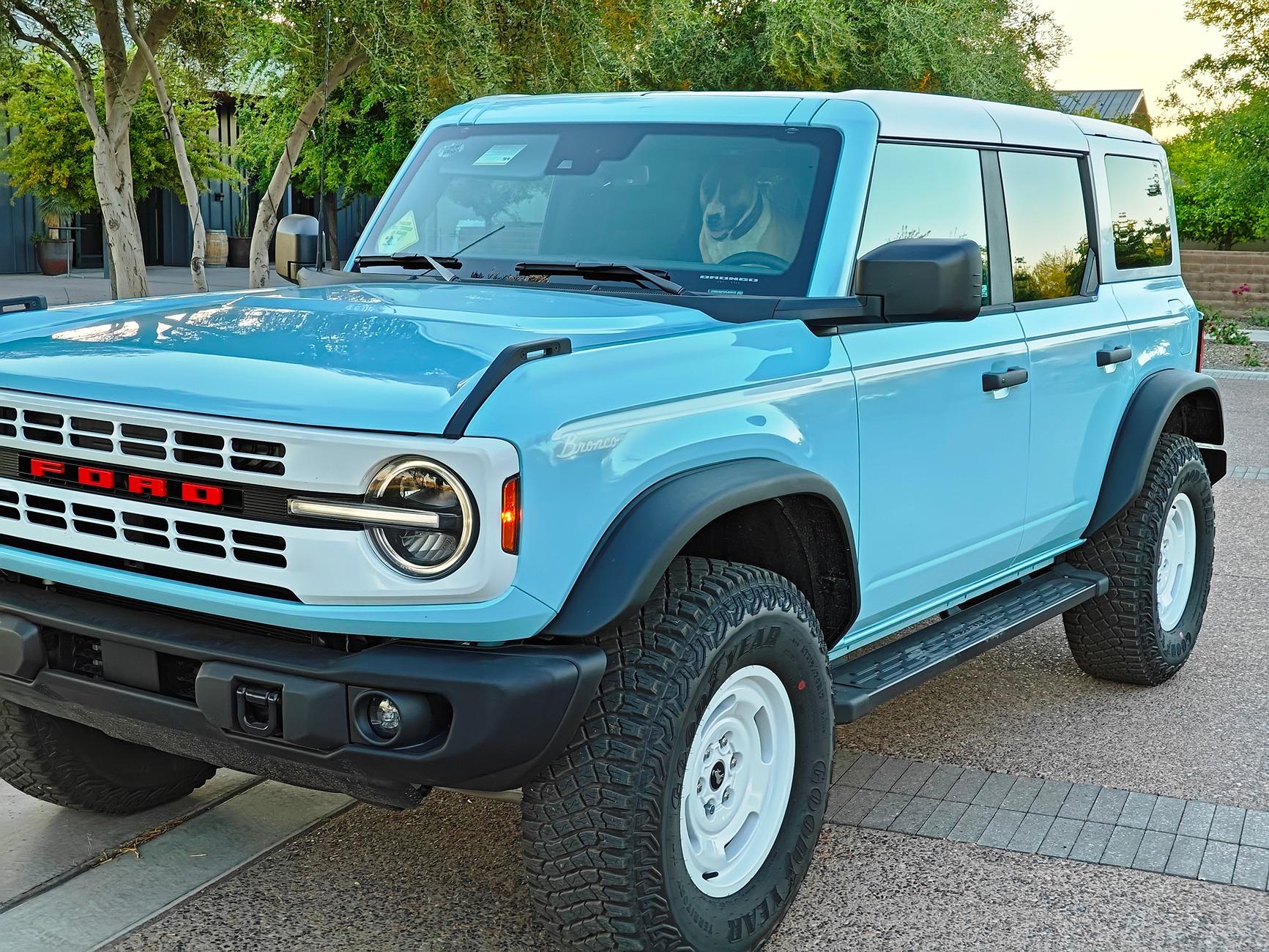 Ford Bronco Custom vanity license plate for Bronco? IMG20240418061537