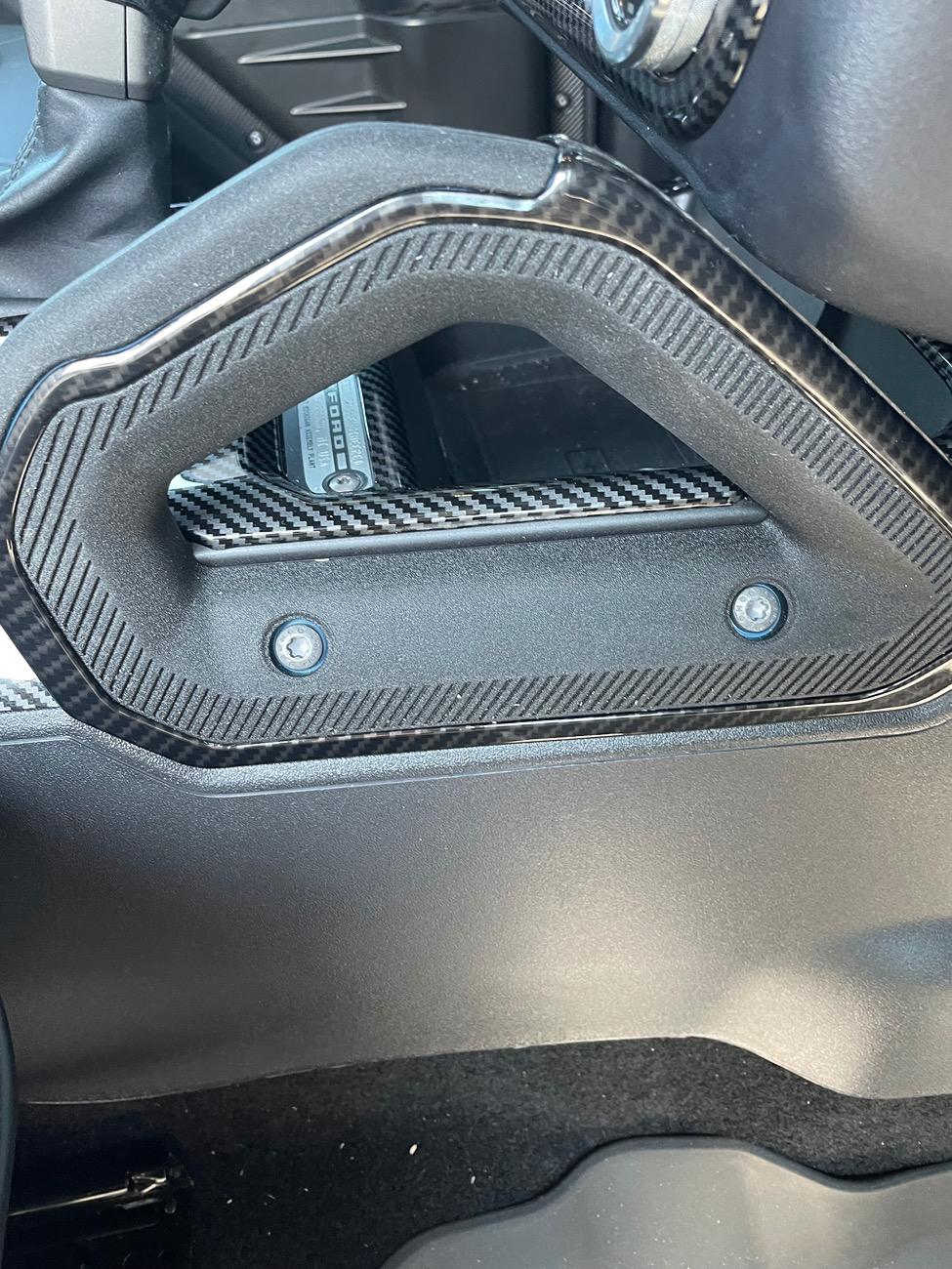 Ford Bronco Carbon Fiber Trim Photos IMG_1954