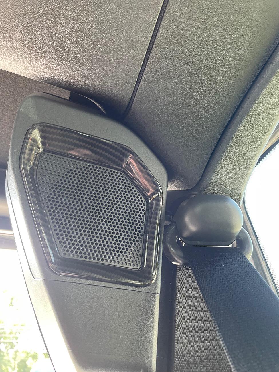 Ford Bronco Carbon Fiber Trim Photos IMG_1950