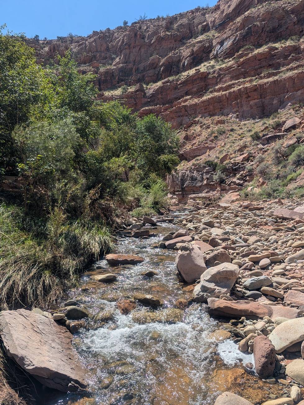 Ford Bronco Colorado + Utah Road Trip (pictures + report) Creek Hike