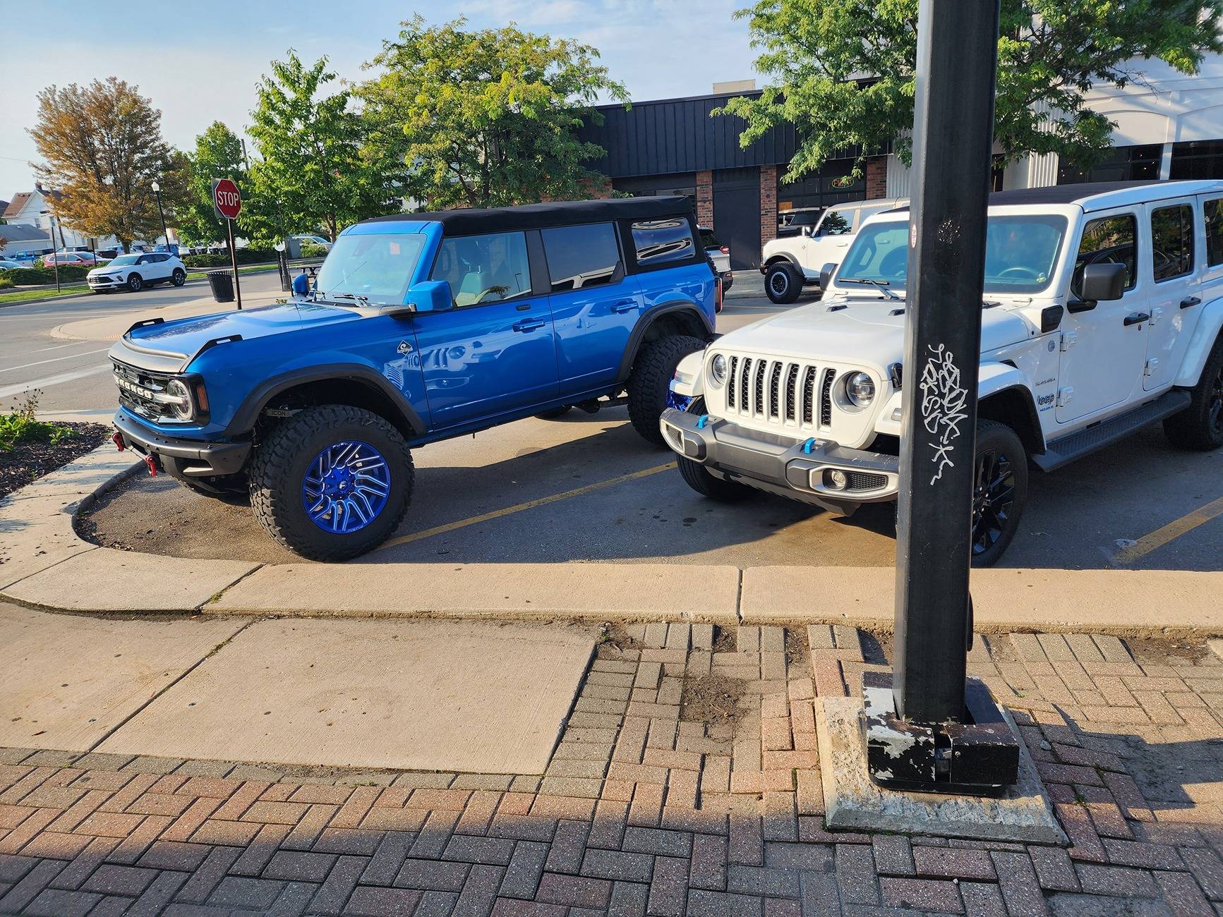 1000010391.jpg