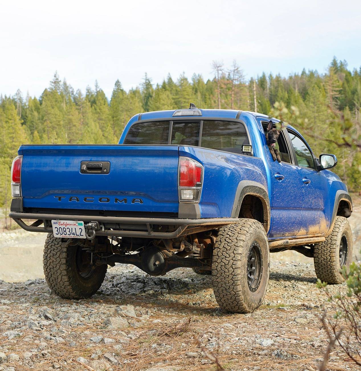 Ford Bronco SVC Baja Rear Bumper Is Awesome! - Review, Pictures & Video DSC00641