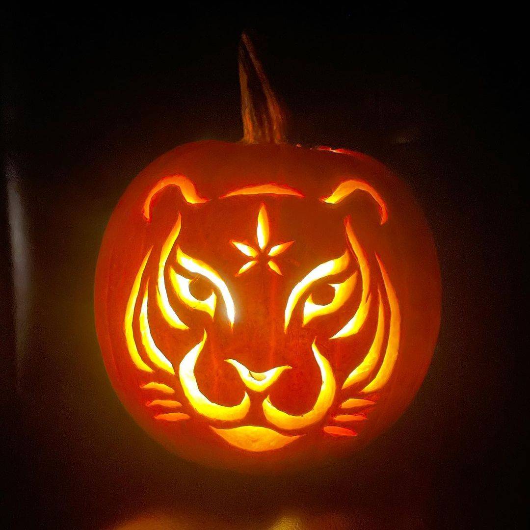 Ford Bronco Has Anyone Started Prepping Their Halloween Decorations Yet? Snapinsta.app_395787520_638917648442470_3192972388344012796_n_1080