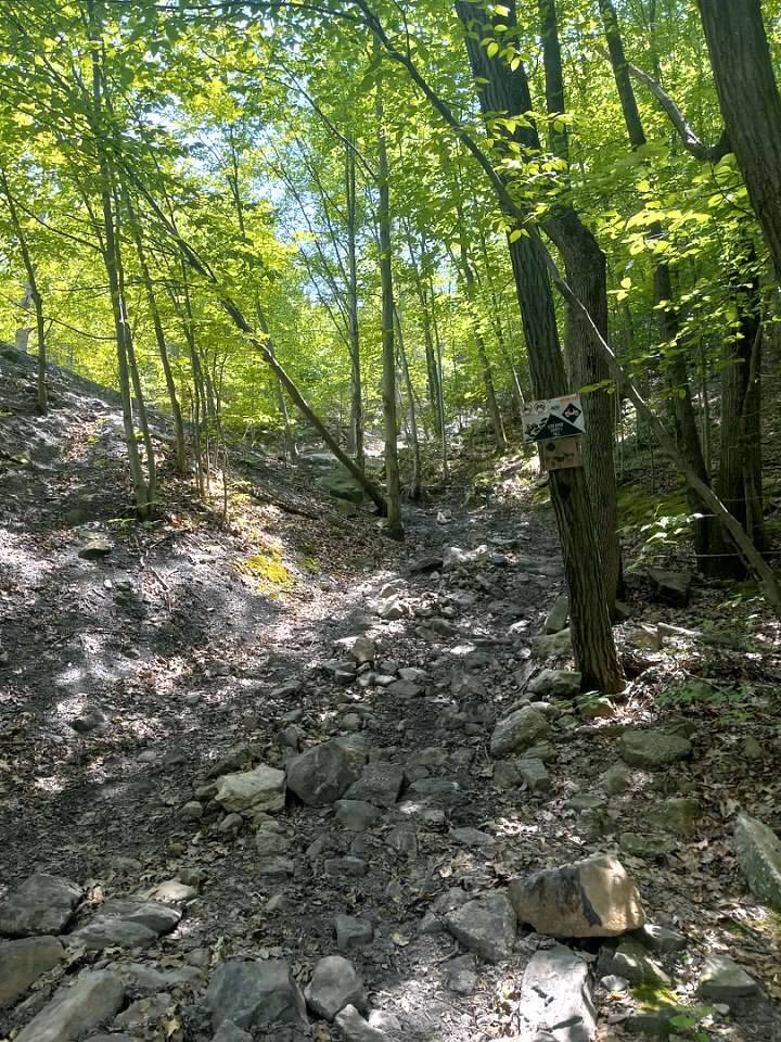 Ford Bronco Wheeling/Camping at Anthracite Offroad Adventure Area (AOAA) in PA 00-NfmewEdBZpaPKHQAw15duo37JUqllZL3YGr4_whos6a6x1d6aA7BAclqI7sDbSQi4xJ2Twu75QF_jizMkB1ZdA