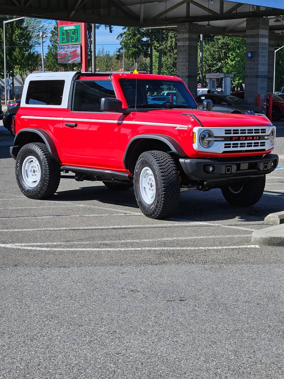 Ford Bronco Heartbreaking Loss. In Memoriam of Alexander 1000005526
