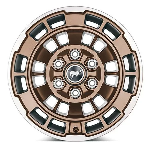 Ford Bronco Bronze wheels for white BD 1729261565574-69