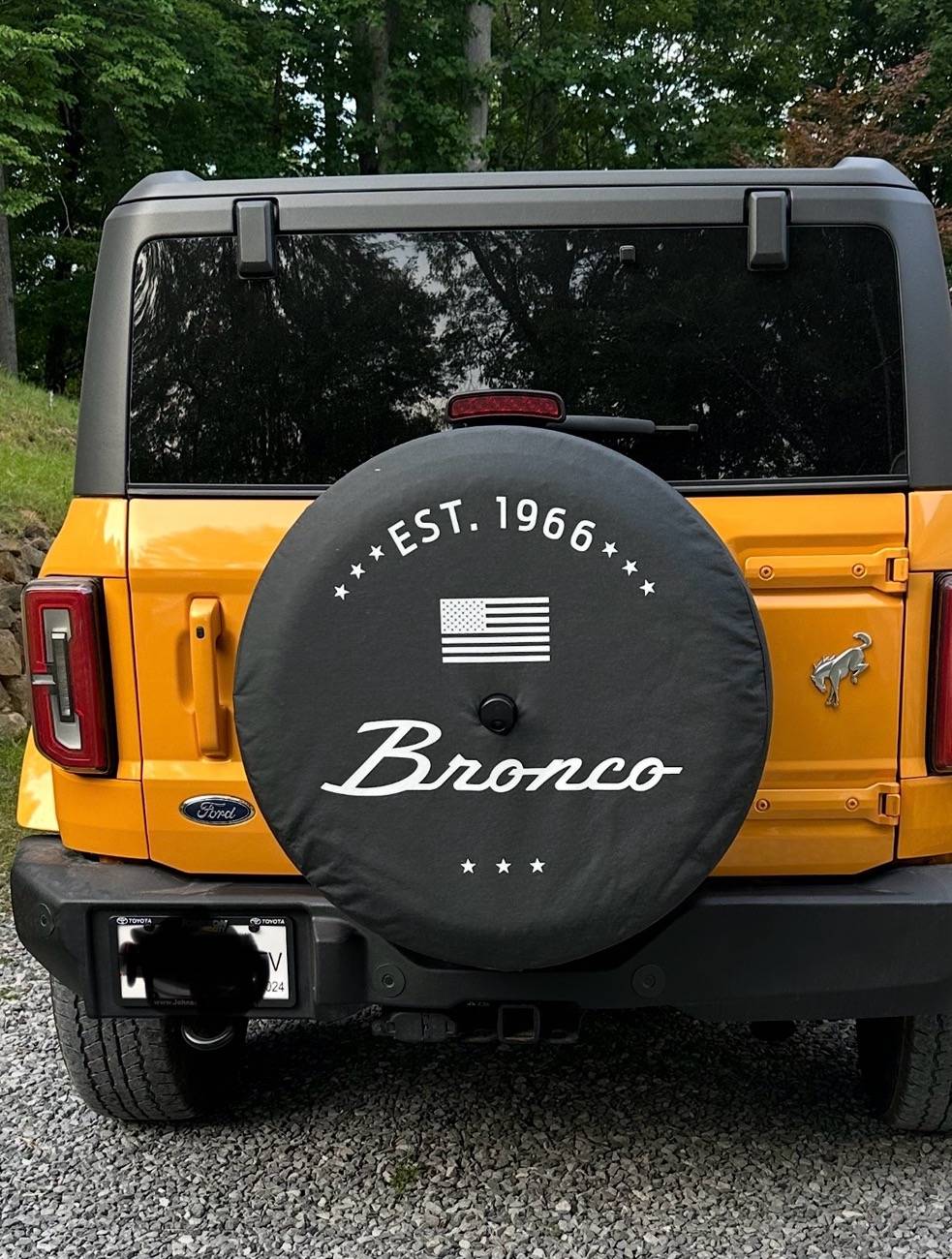 Ford Bronco Spare Tire Cover ... post yours! IMG_6342
